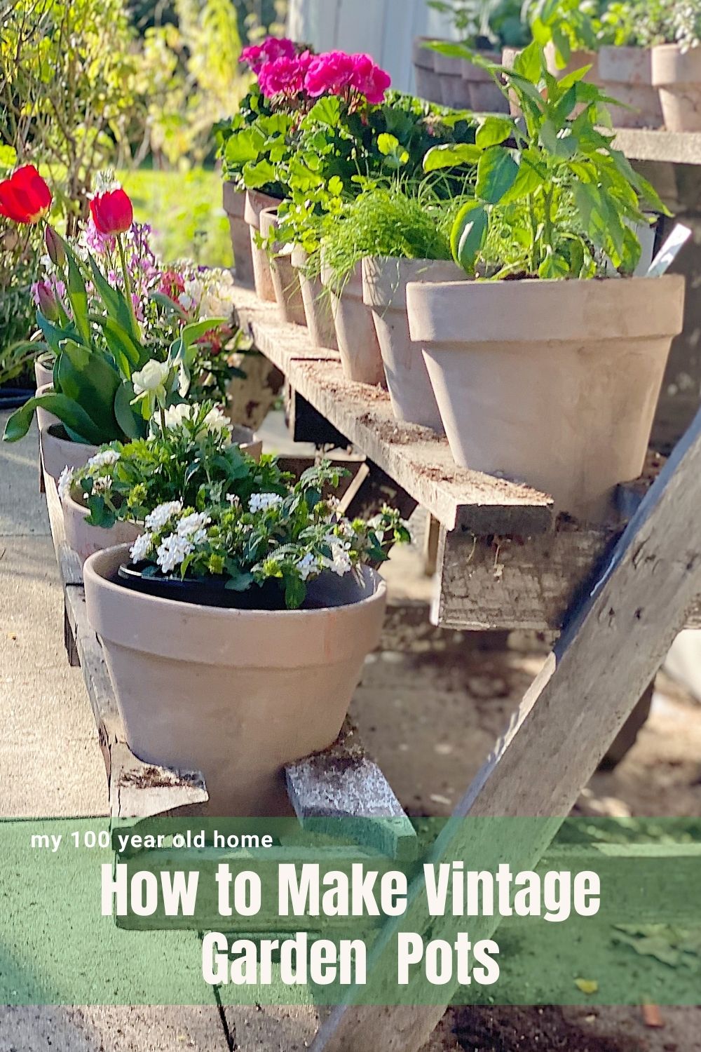 I love vintage garden pots but they are hard to find and often expensive. Wait until you see how I made my new terra cotta pots look old.