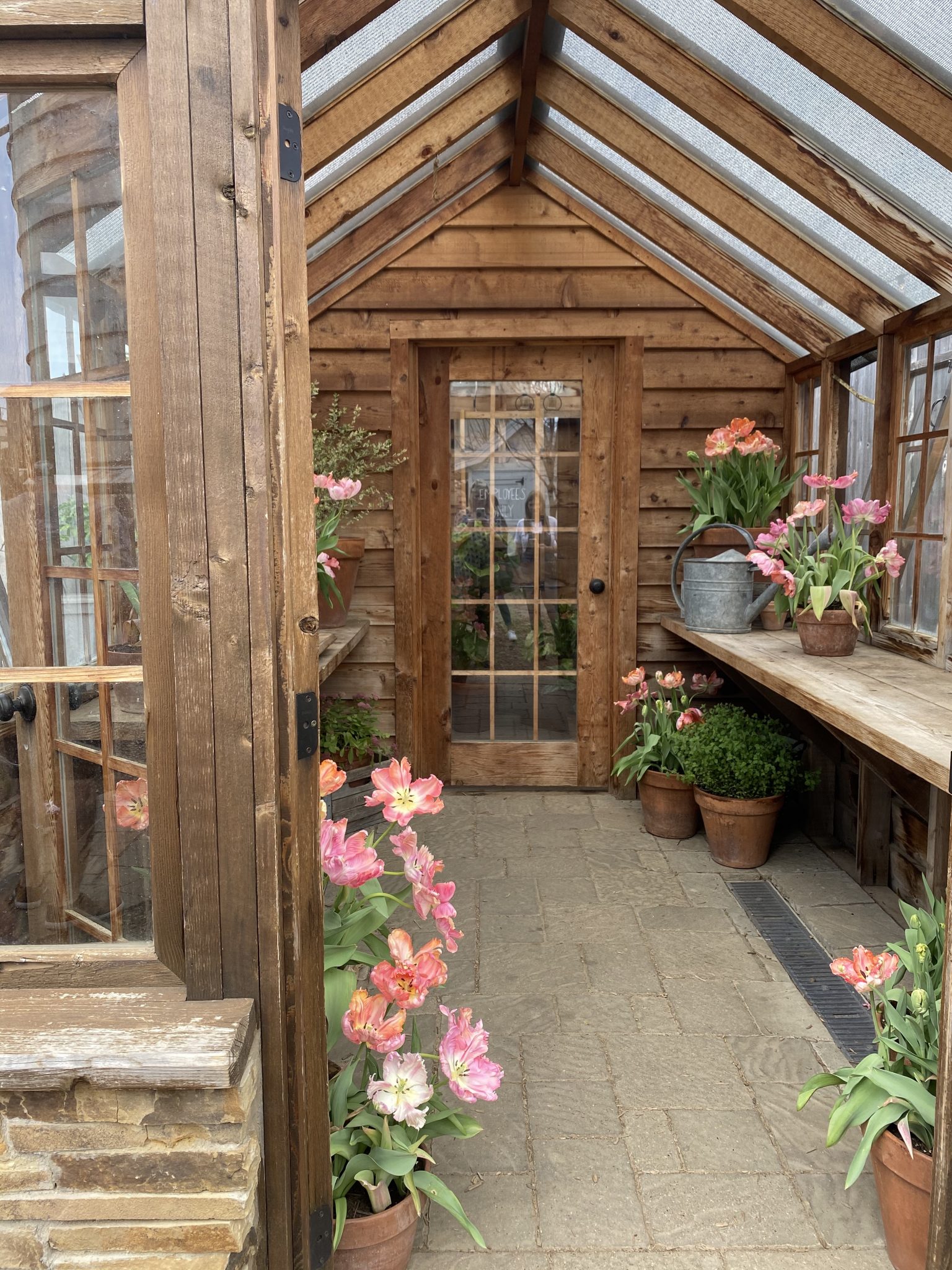 Magnolia Seed and Supply