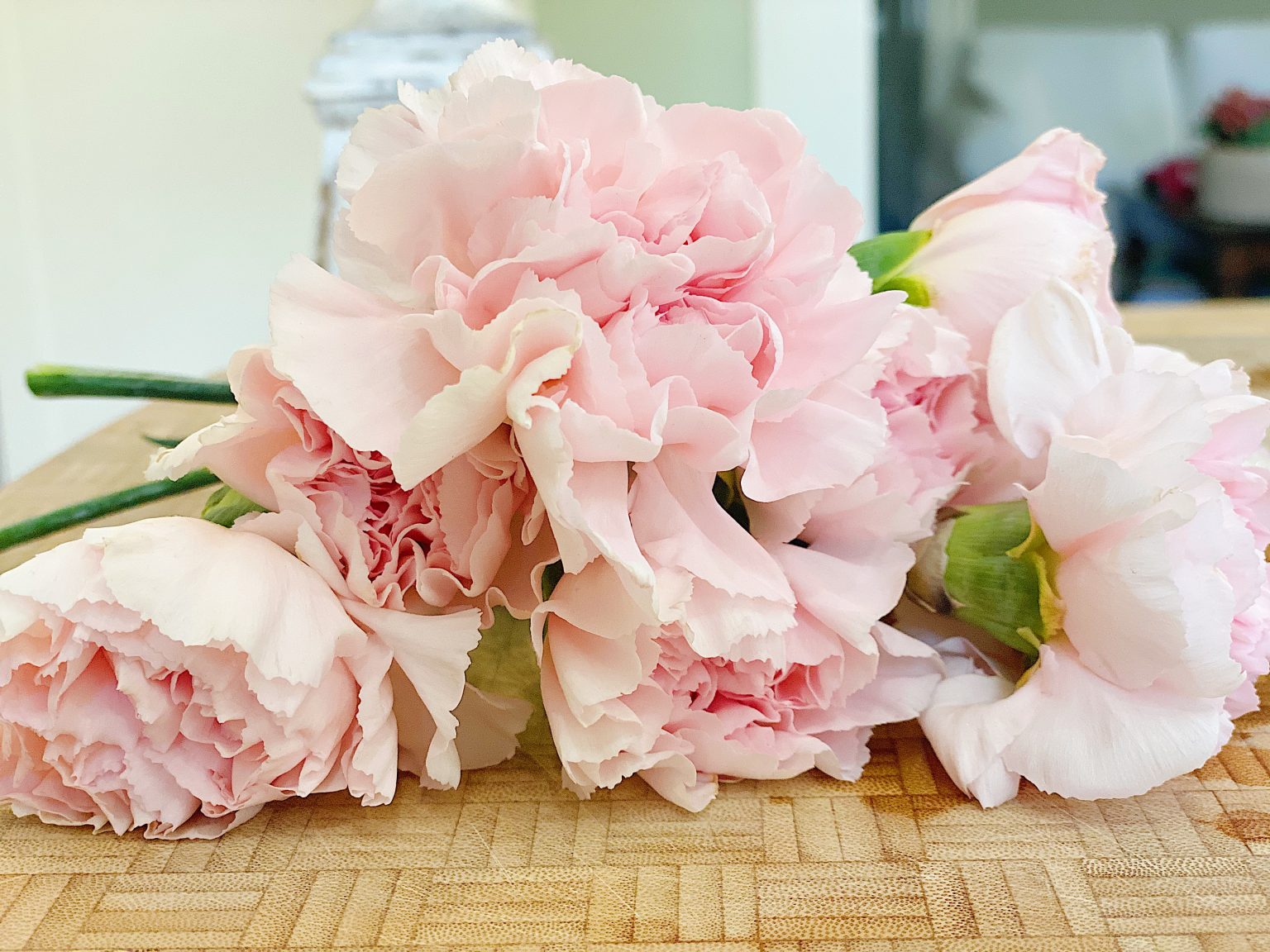 Pink Old Fashioned Carnations