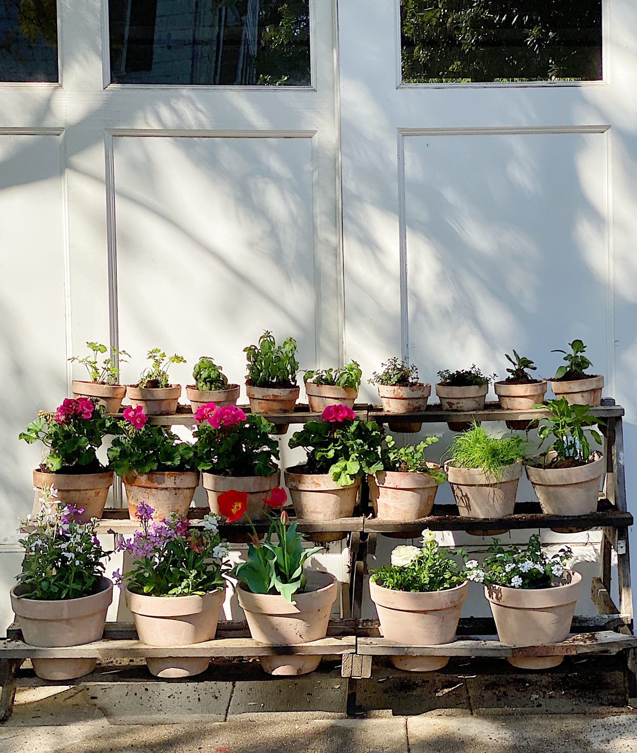 Spring Garden