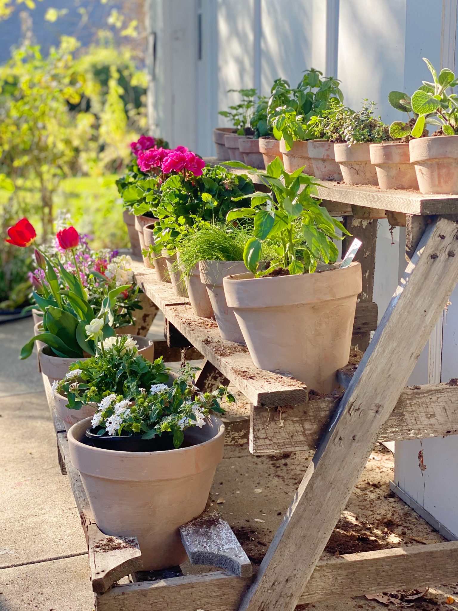 How to Make Vintage Garden Pots - MY 100 YEAR OLD HOME