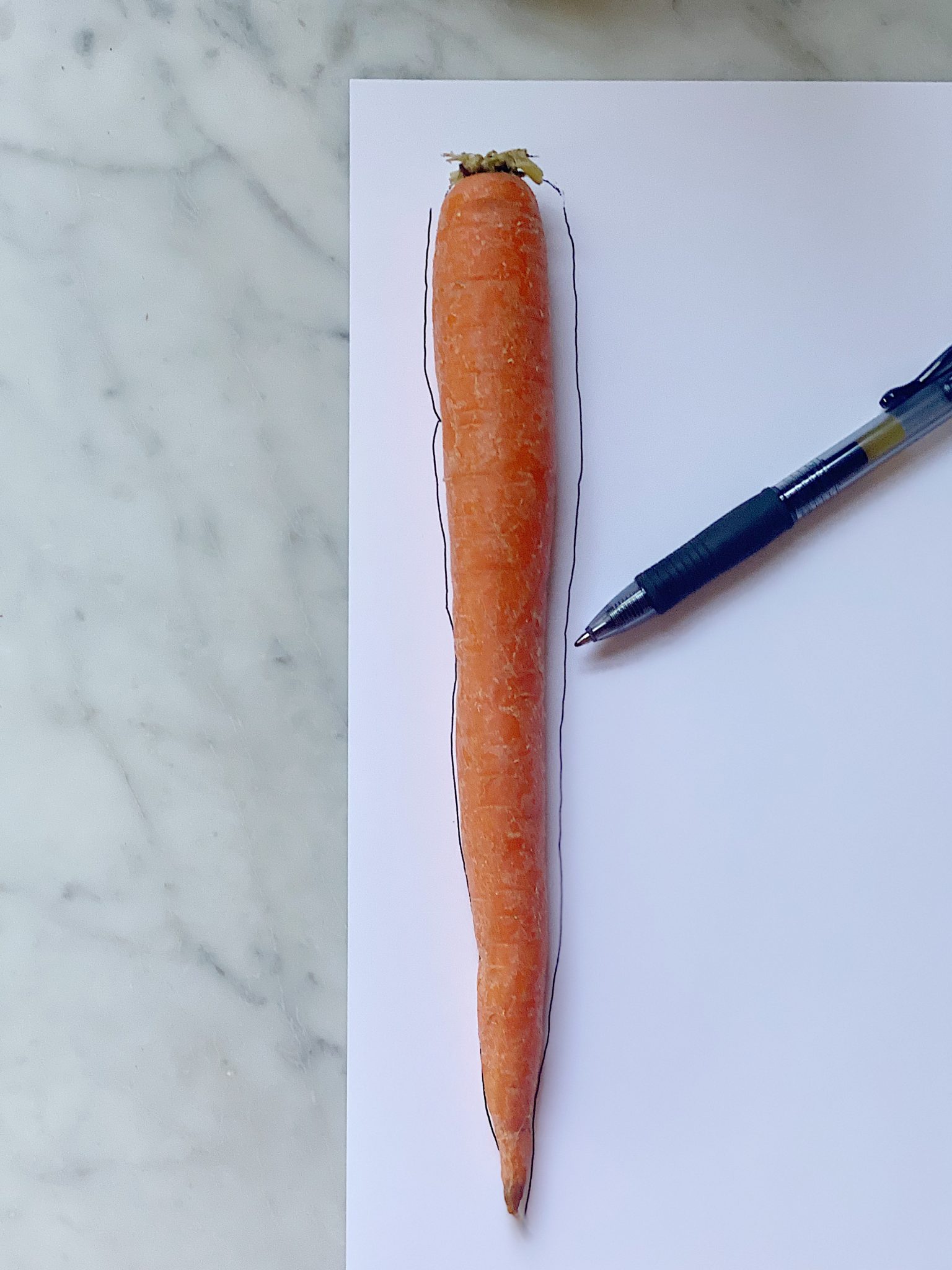 Understanding the Carrot