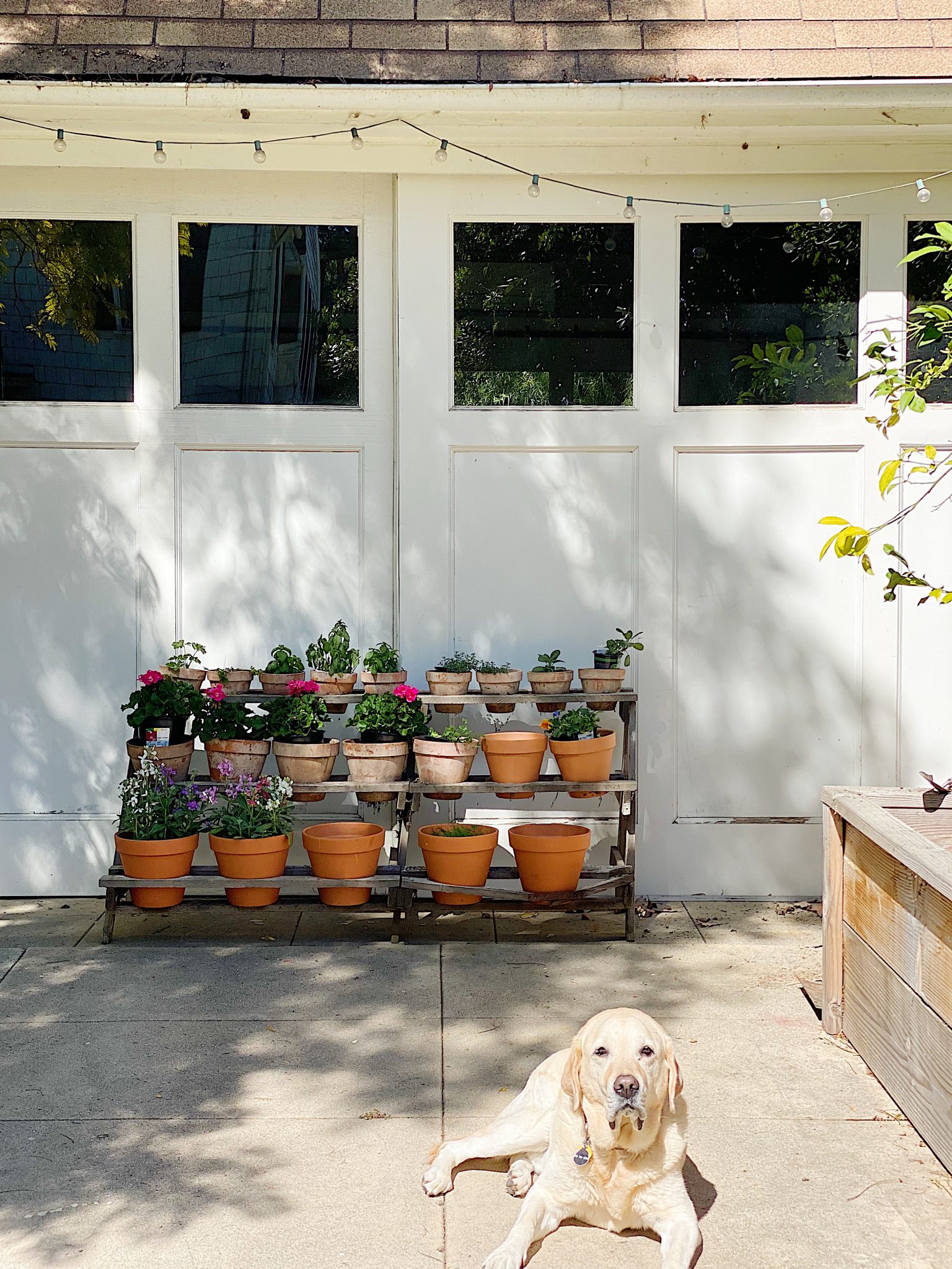 Why I Need Vintage Garden Pots