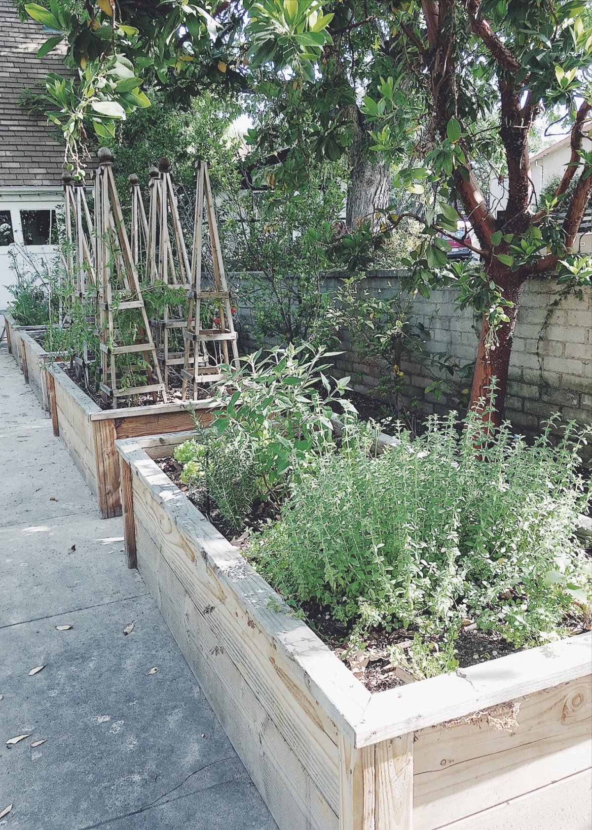 raised-vegetable-beds