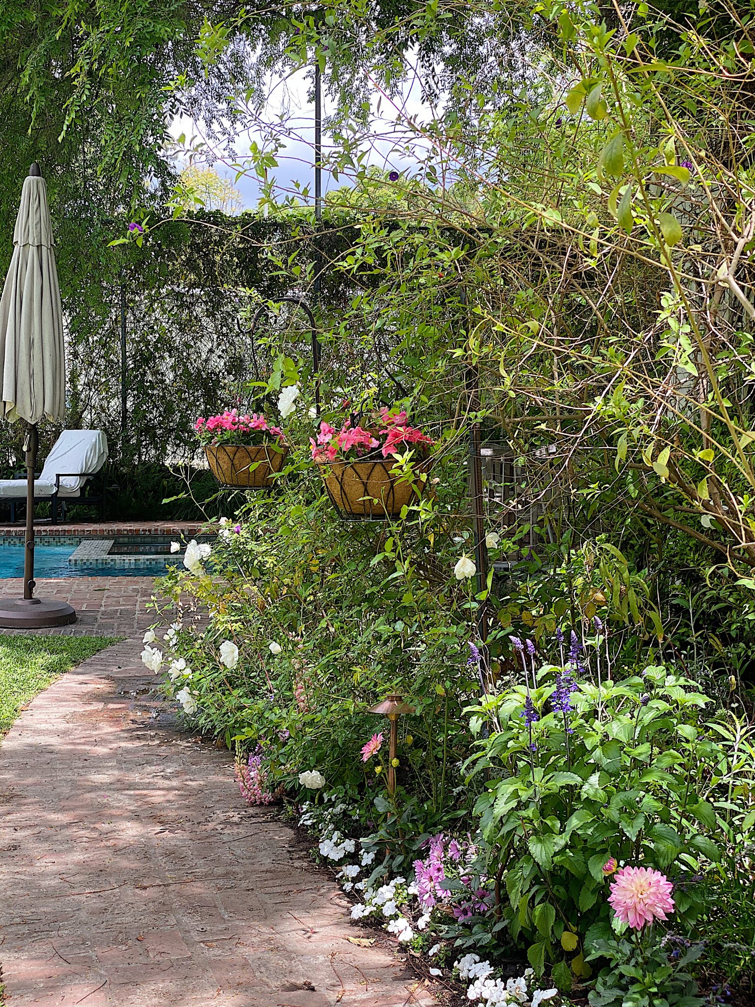 Backyard Garden