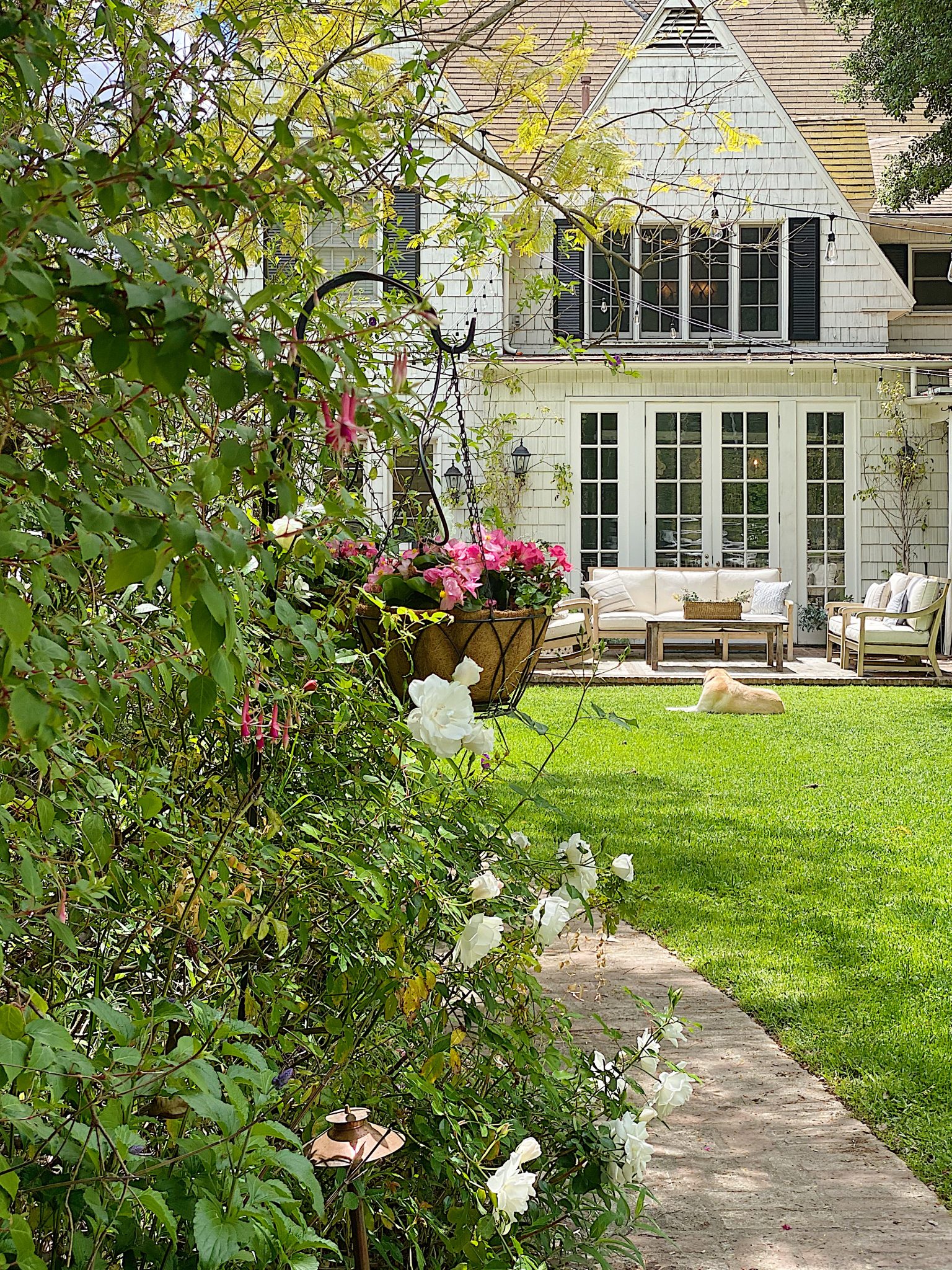 Backyard Garden Refresh