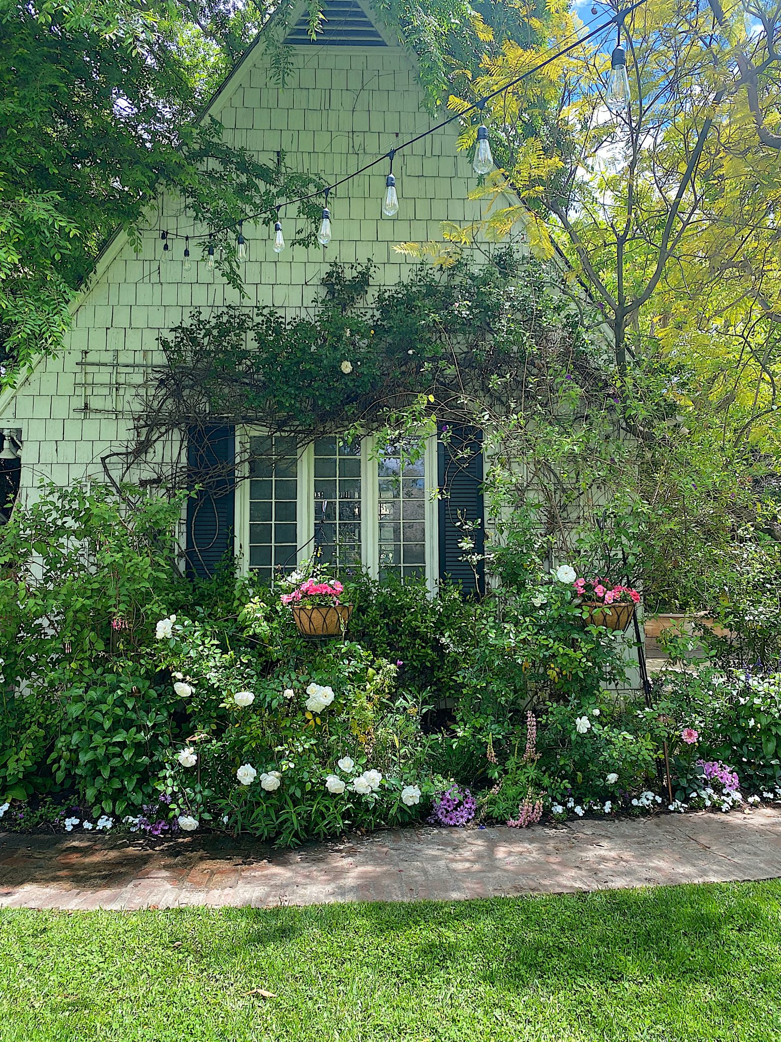 Backyard Garden Refresh