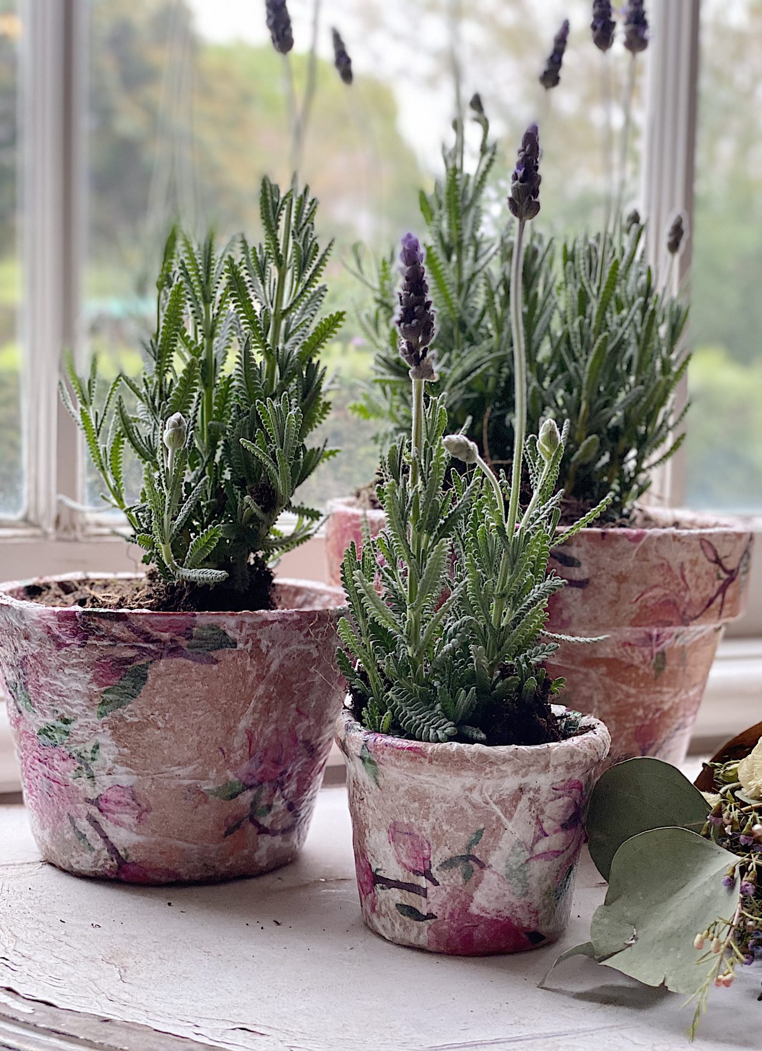 Decoupage Terra Cotta Pots with Lavender .
