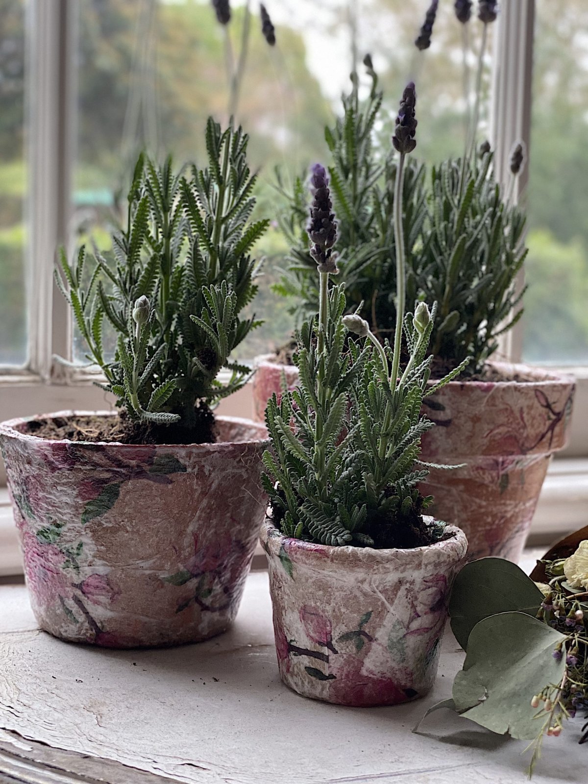 Decoupage Terra Cotta Pots with Lavender