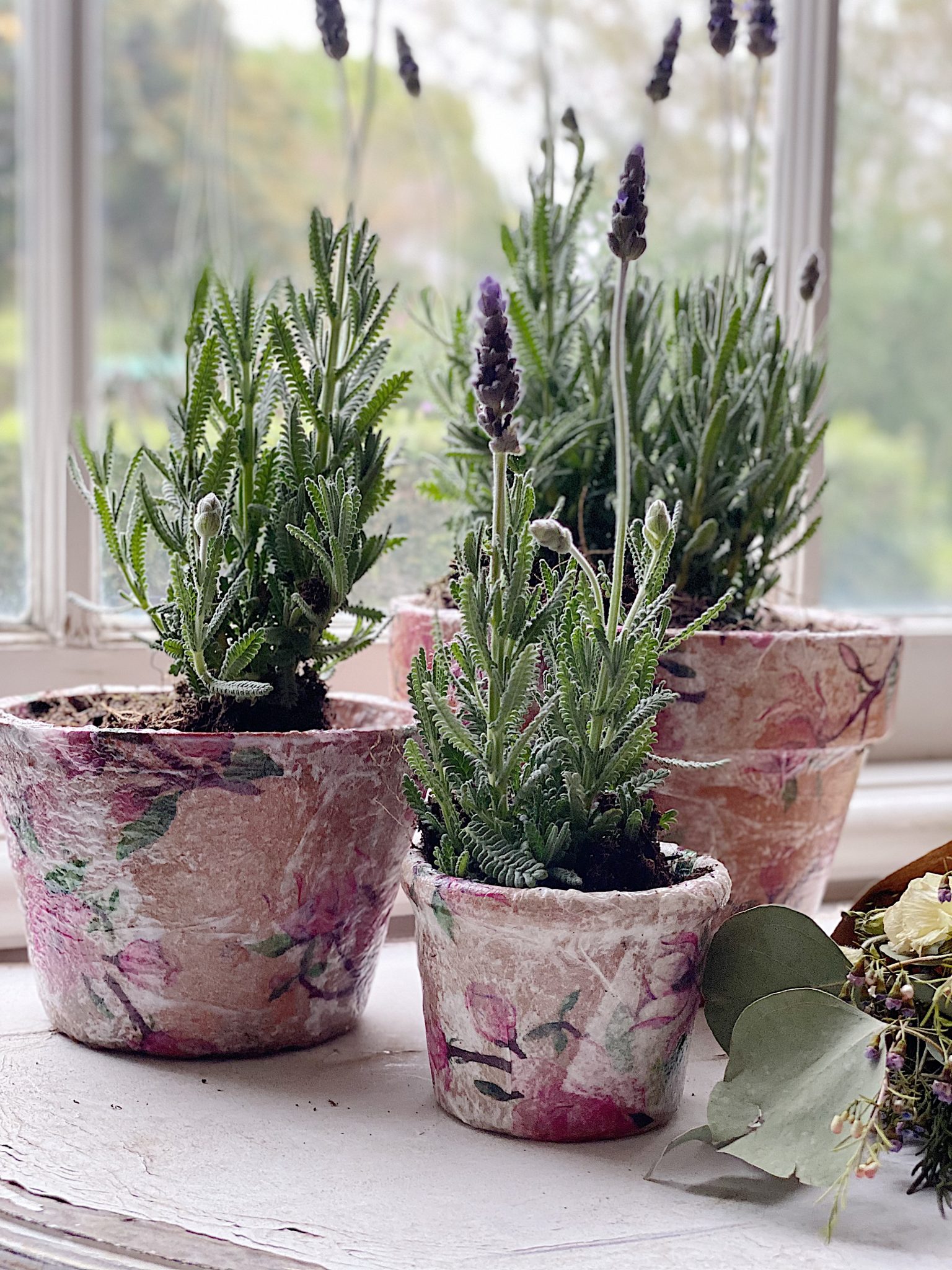 Decoupage Terra Cotta Pots with Lavender 1