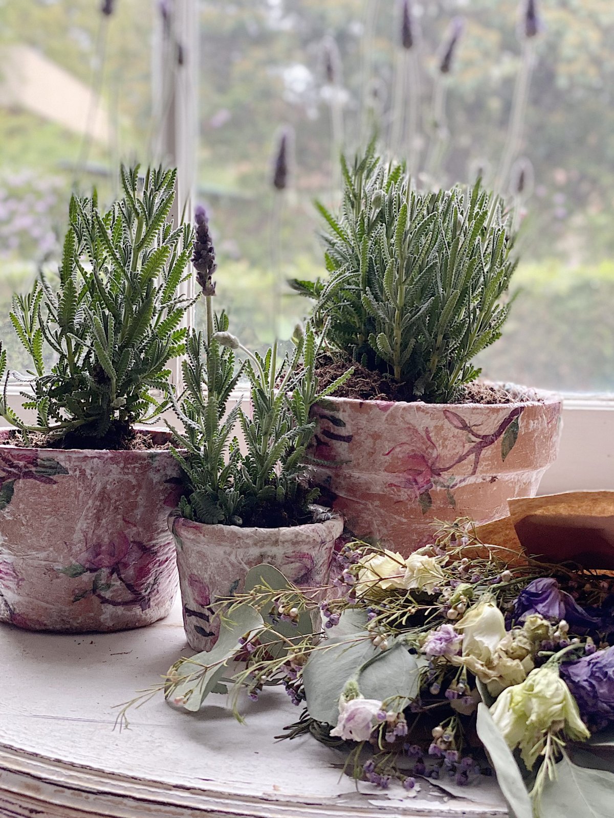 Decoupage Terra Cotta Pots with Lavender Plants