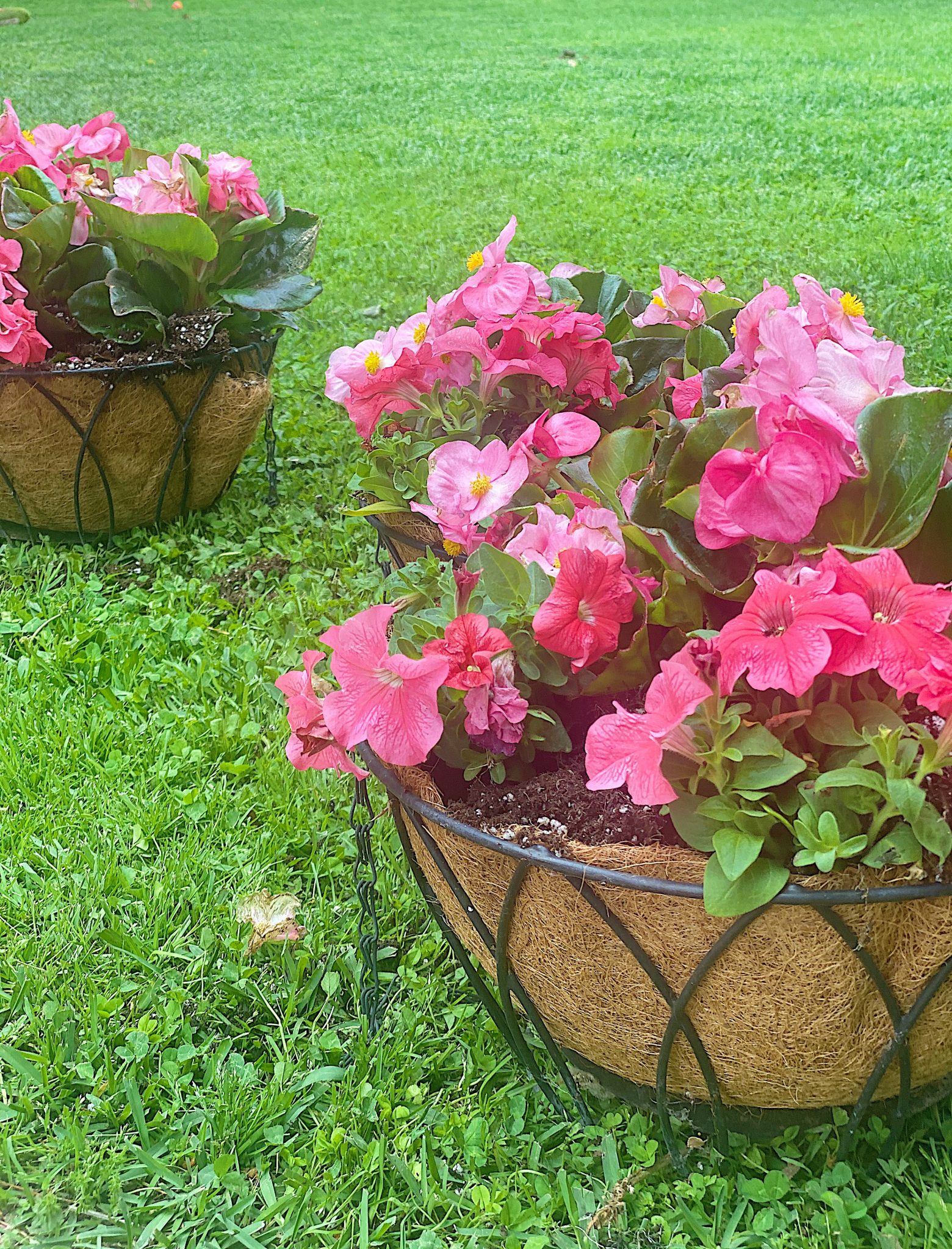 Hanging Planters After