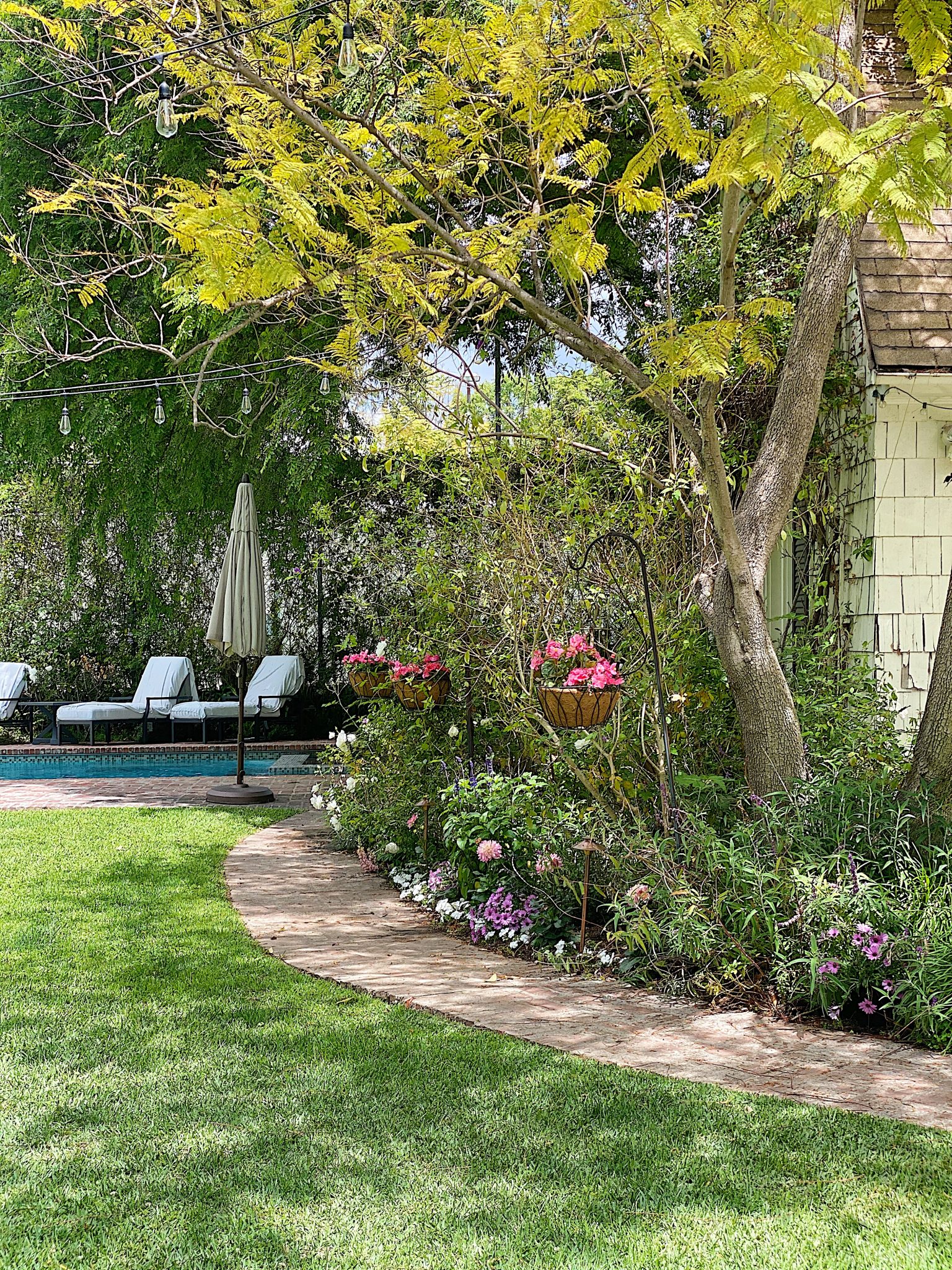It's Time to Plant a Backyard Garden