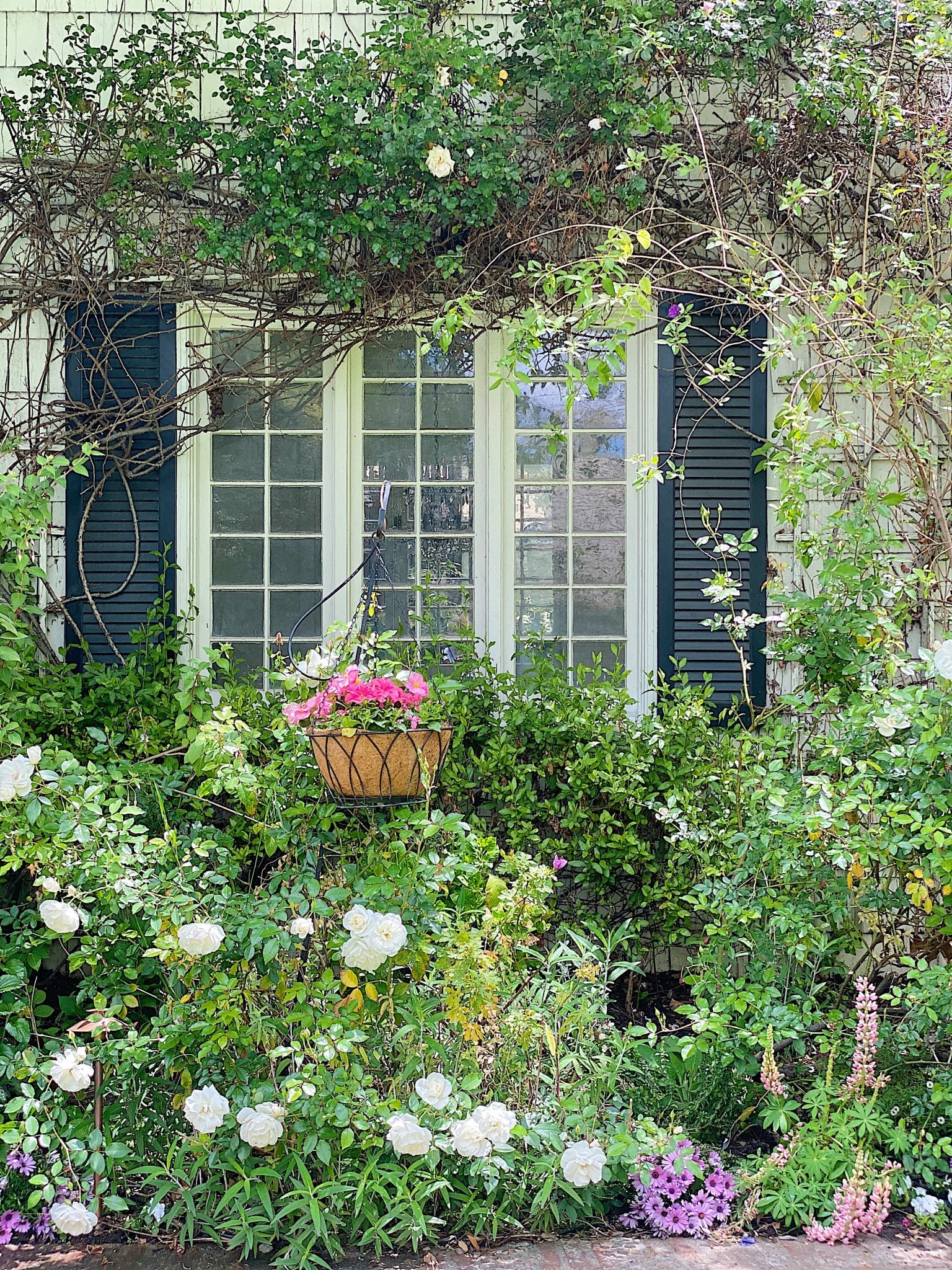 Let's Refresh our Backyard Garden