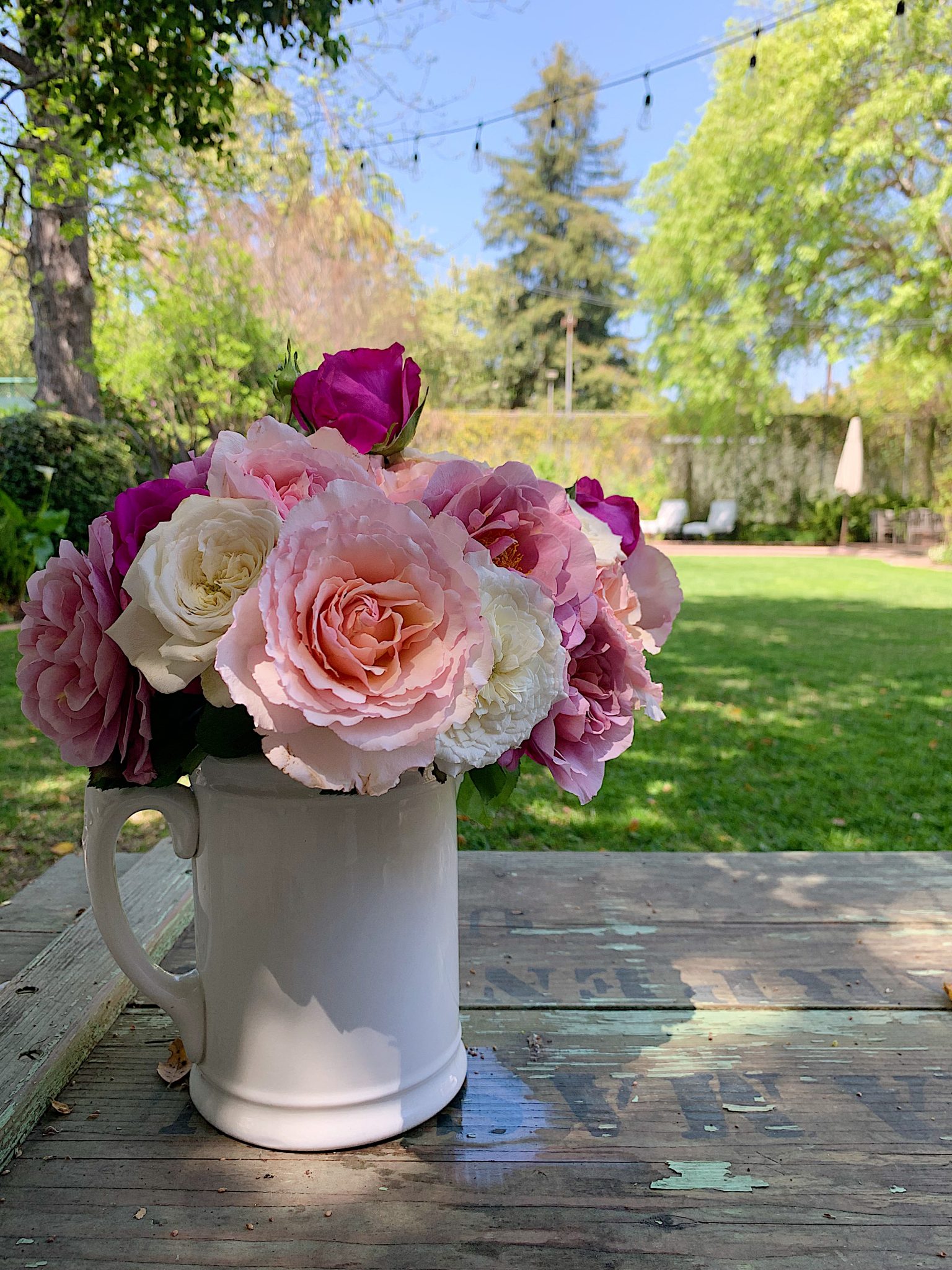 Mother's Day Roses