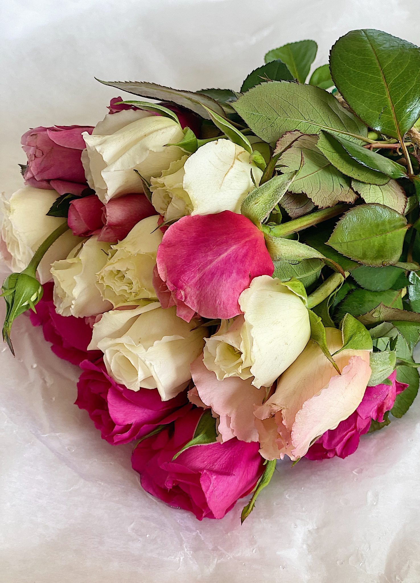 My Favorite Mother's Day Roses
