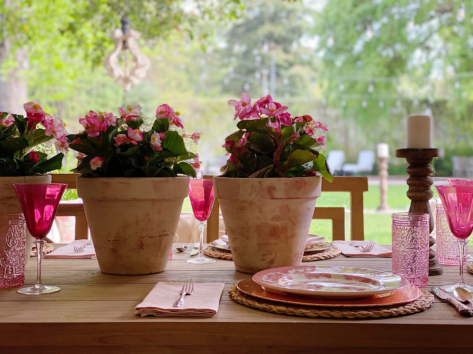 Potted Plants on the Back Porch Table