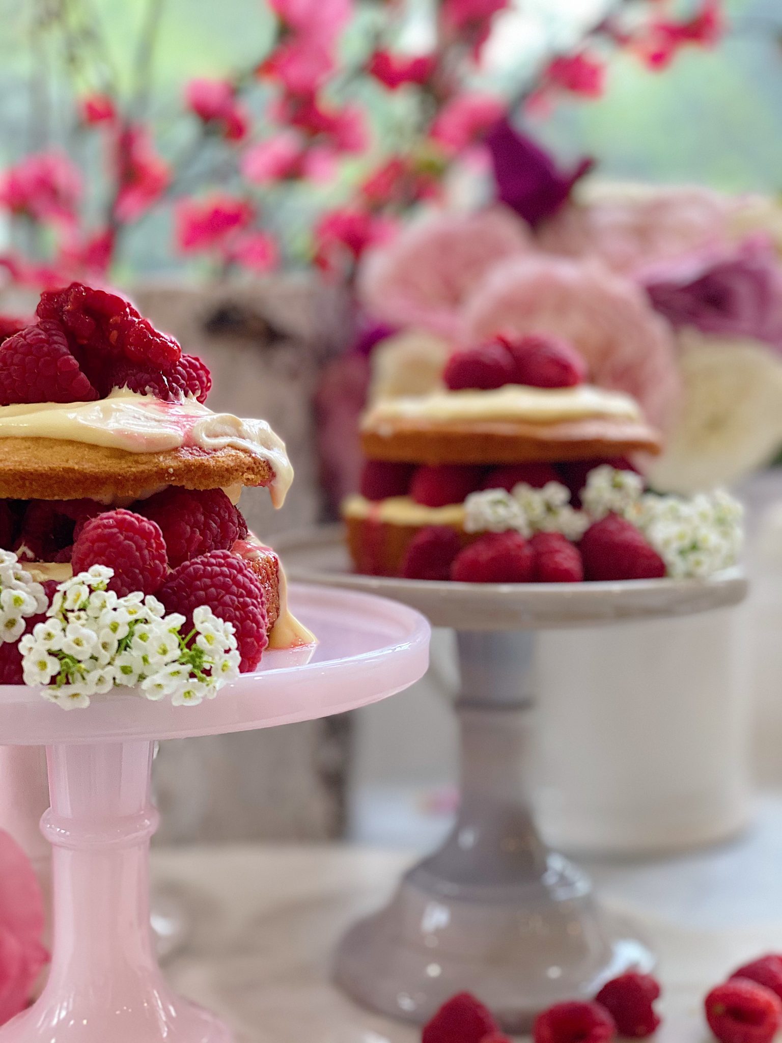 Raspberry Olive Oil Cake Recipe