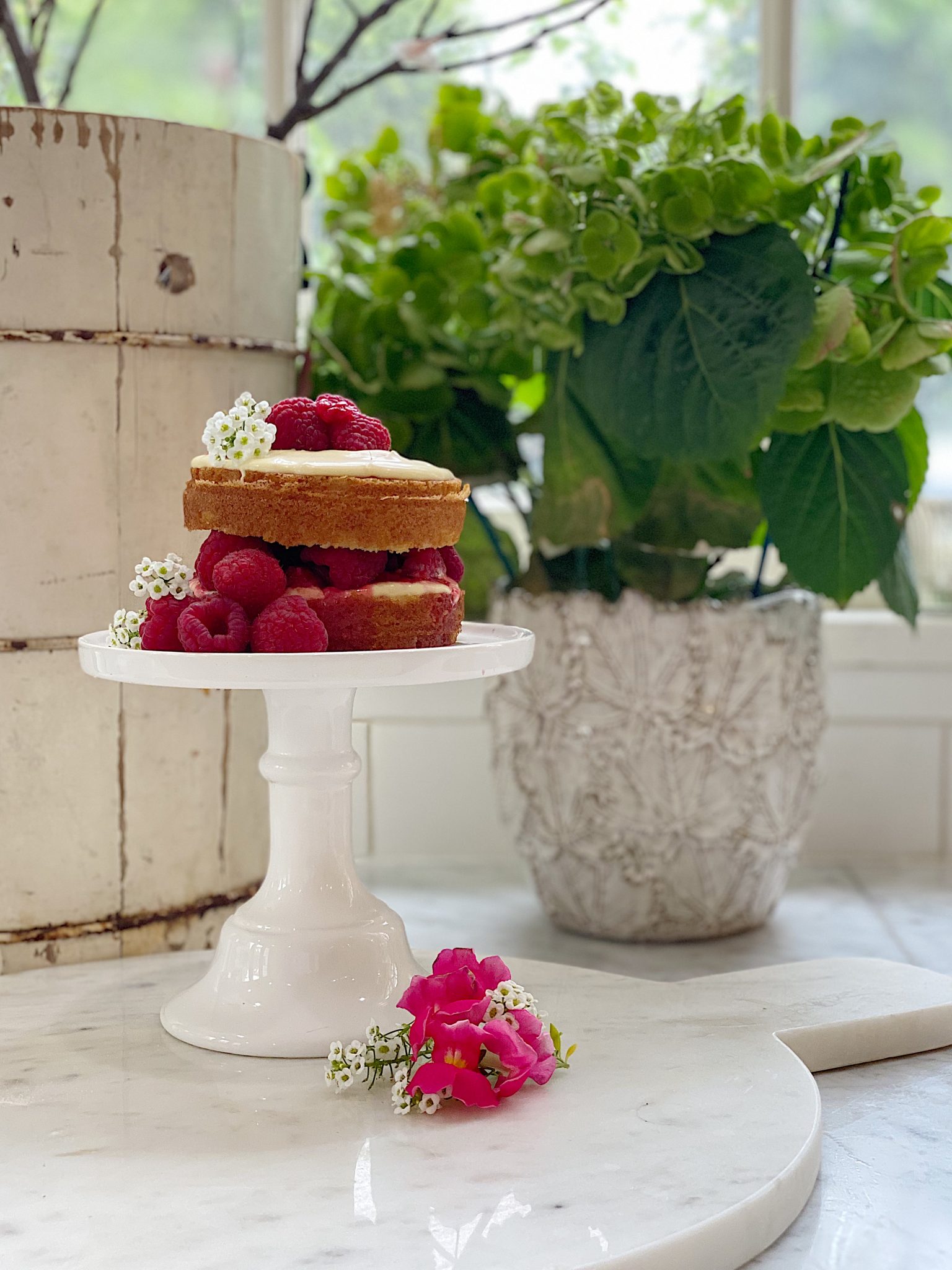 Raspberry Olive Oil Cake Recipe