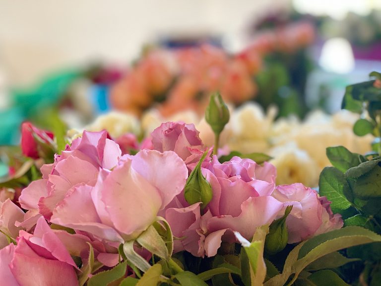 The Best Roses for Mother's Day MY 100 YEAR OLD HOME