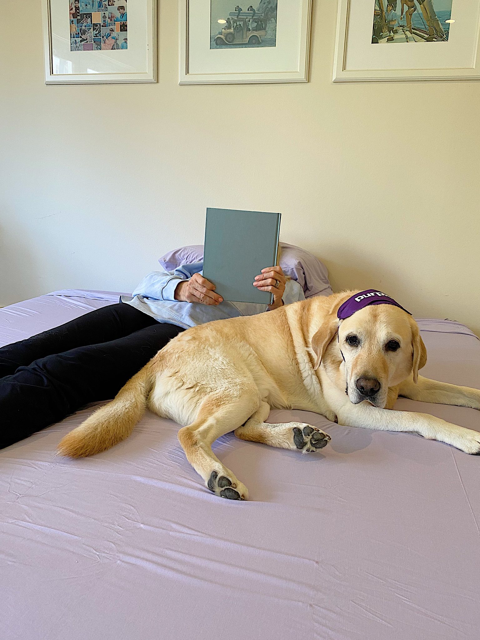 Sharing The Purple Mattress