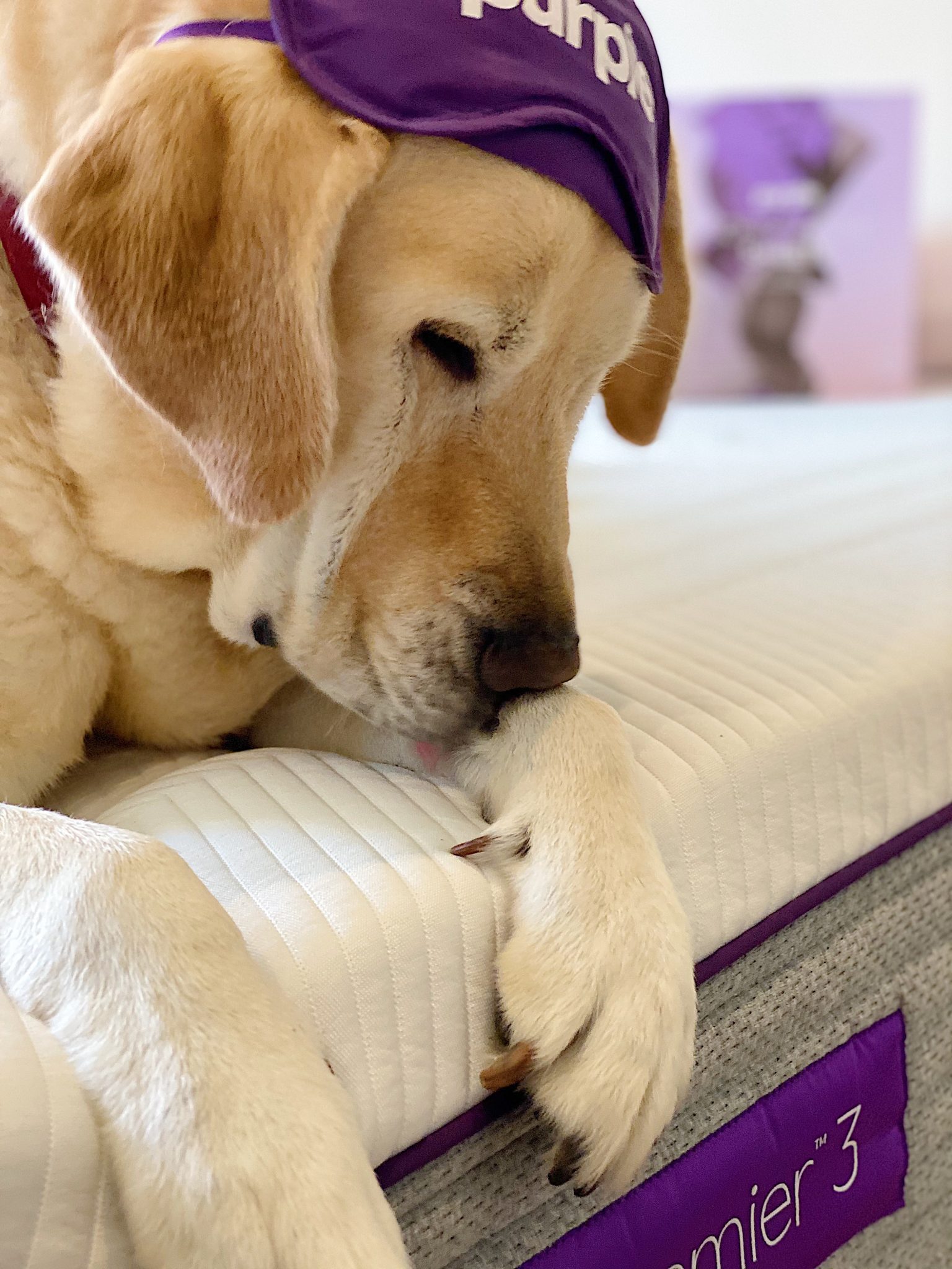 The Purple Mattress and Sport