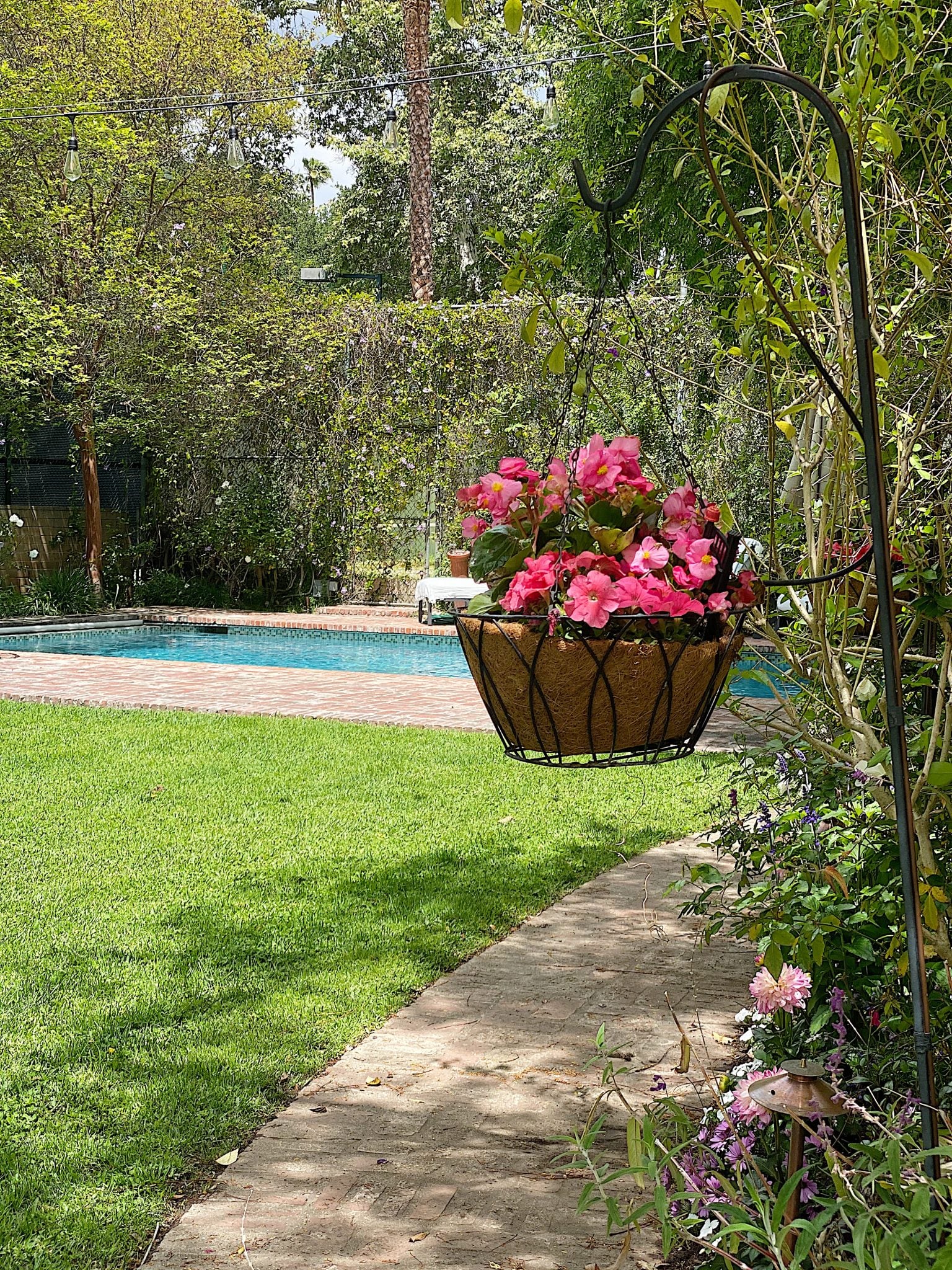 It's Time to Plant a Backyard Garden - MY 100 YEAR OLD HOME