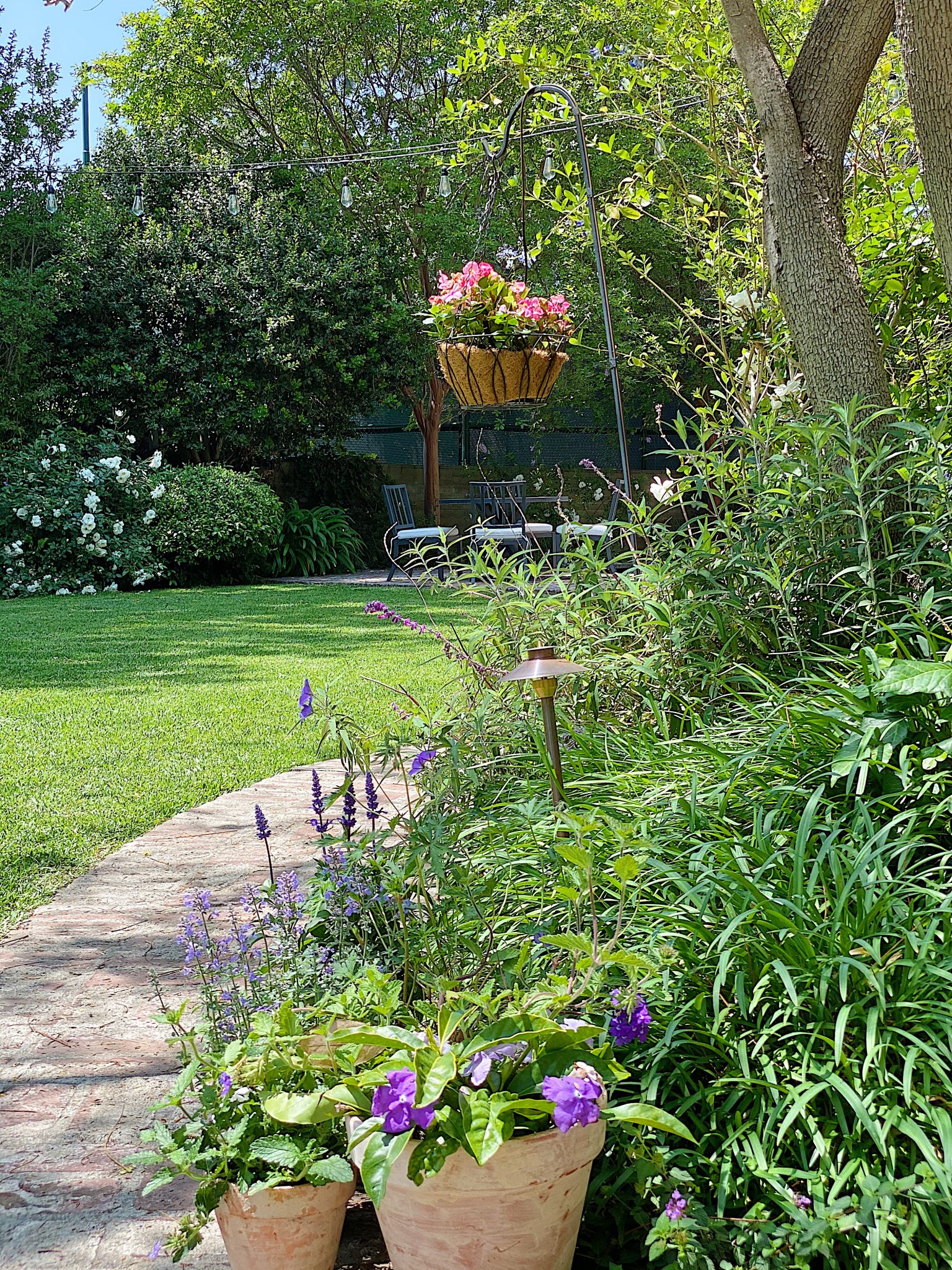 A Peek at the Garden