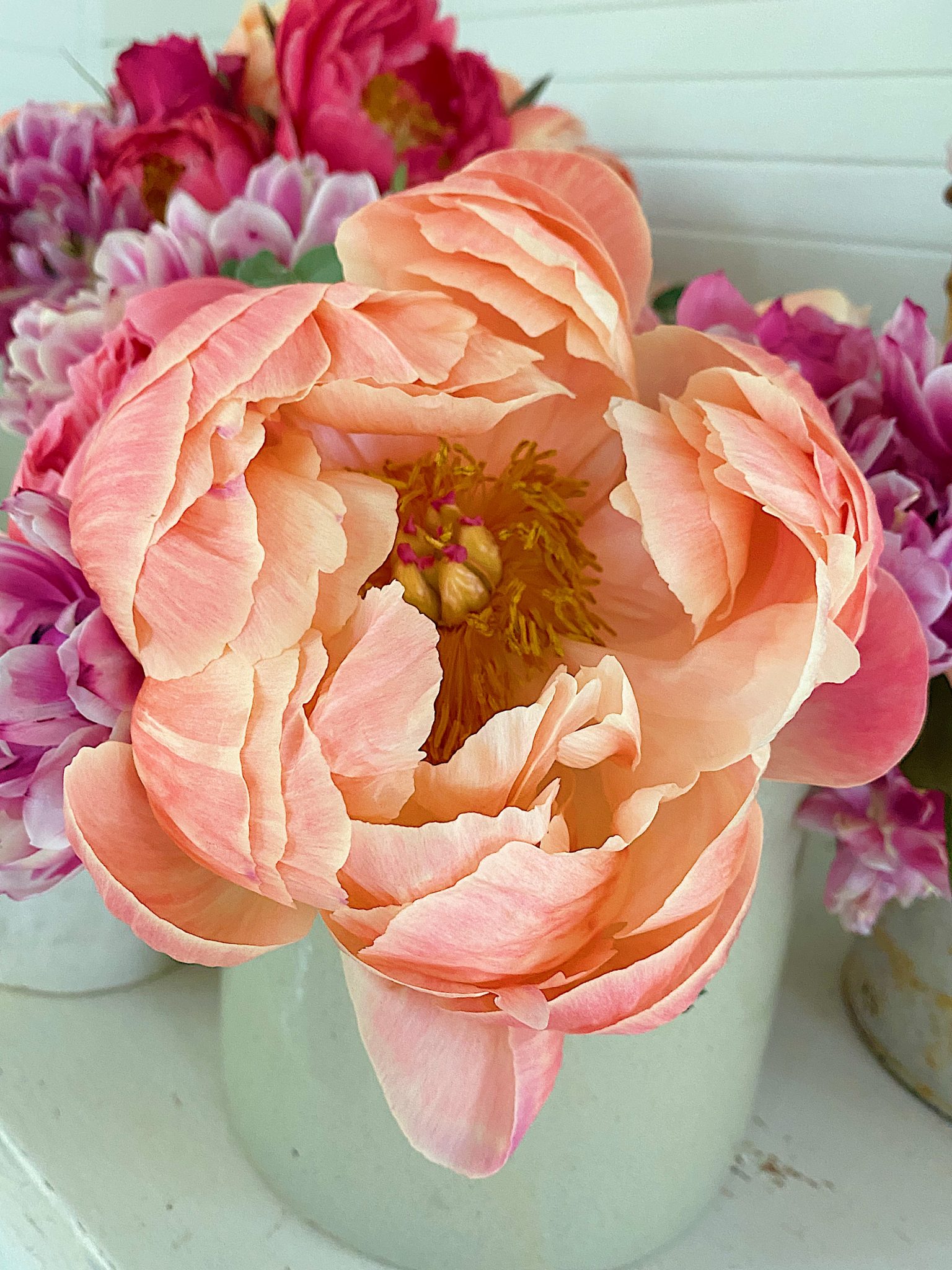 Faded Peonies