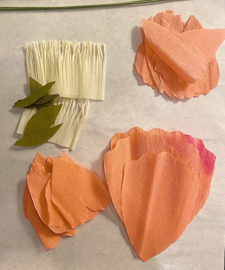 How to Make a Paper Peony 1