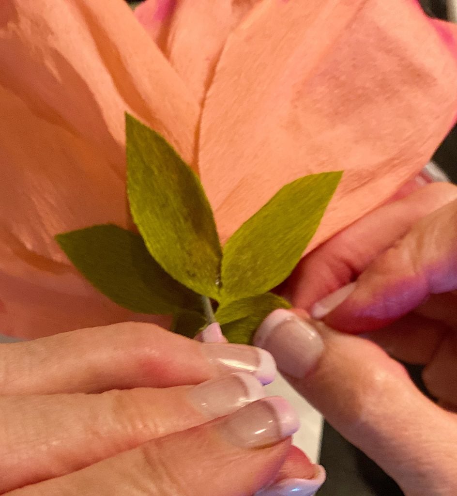 How to Make a Paper Peony 9