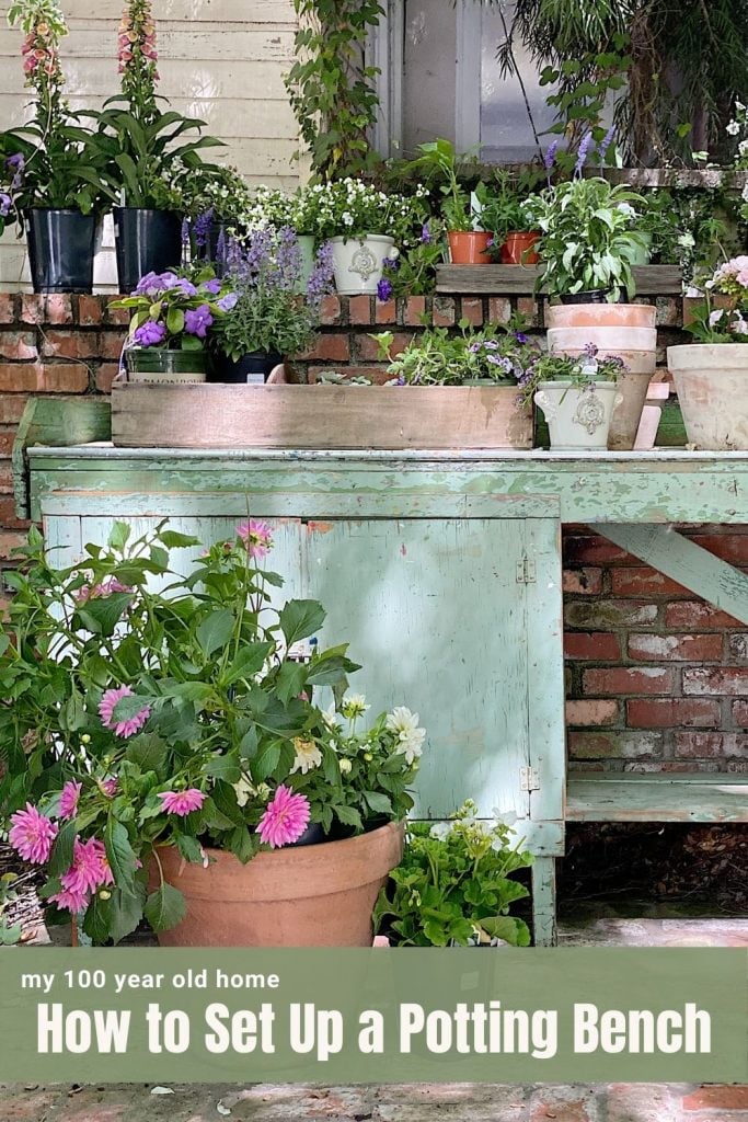 How to Set Up a Potting Bench
