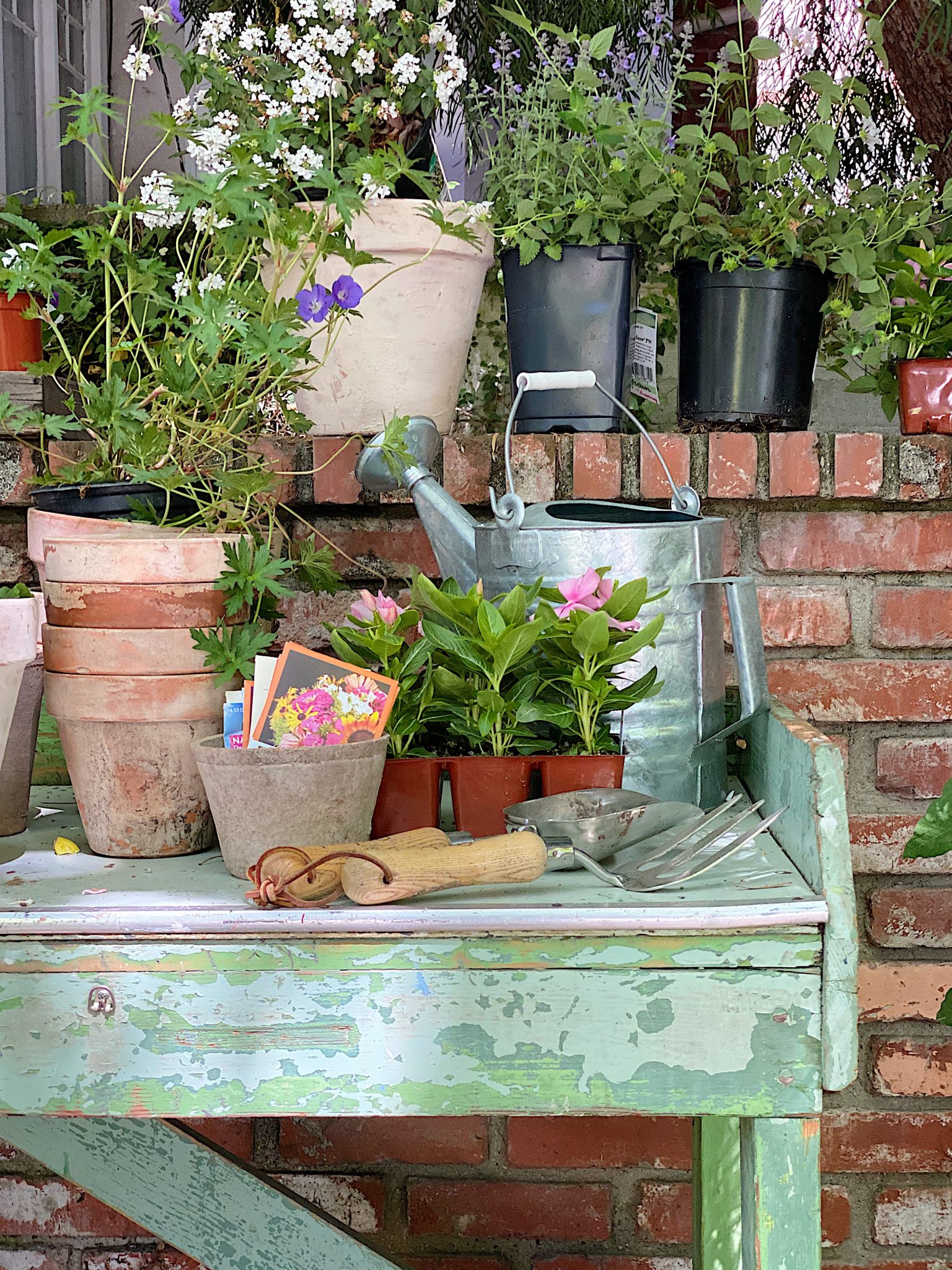 Pots, Plants and Potting Bench