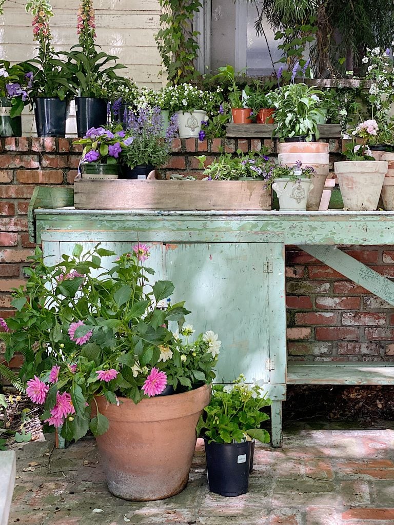 Potting Bench and flowers