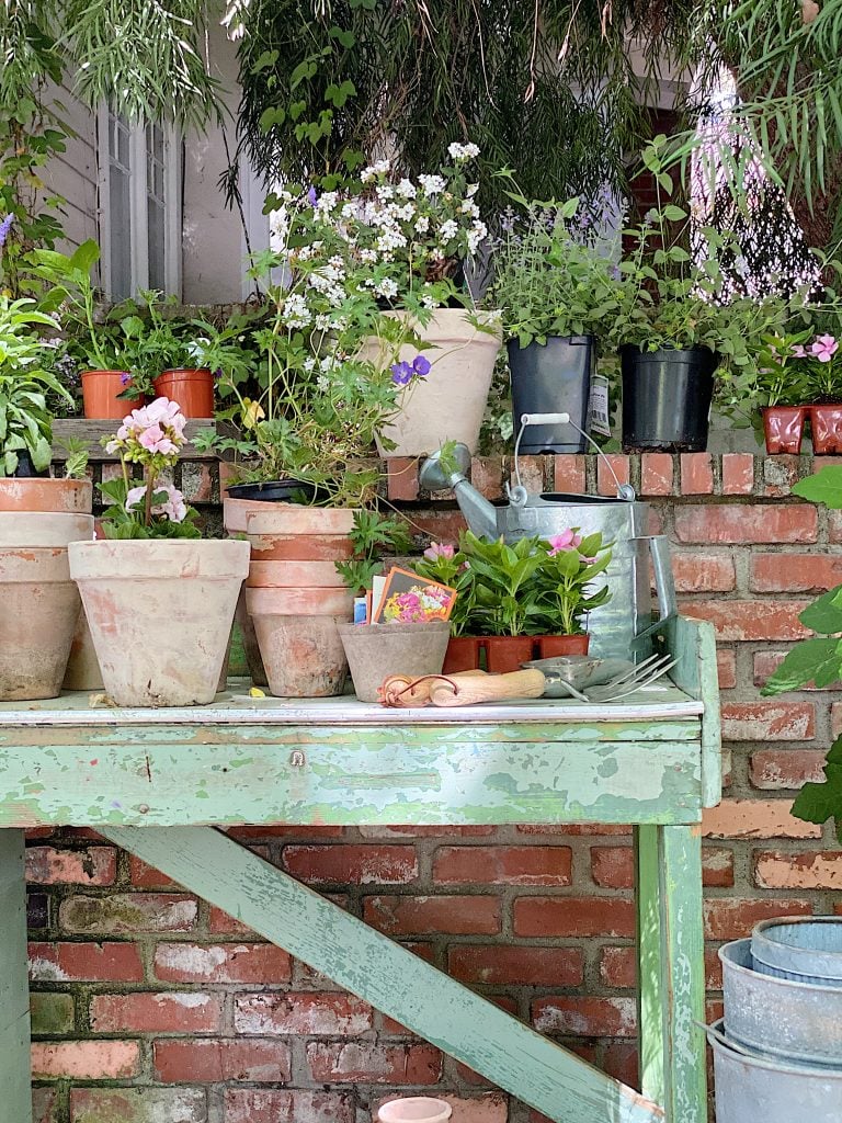 How to Set Up a Potting Bench