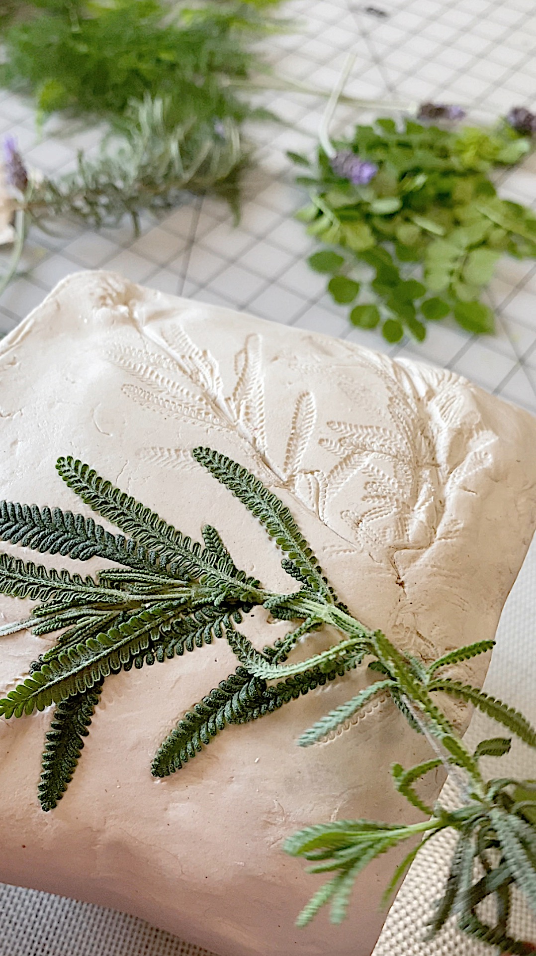 Using Lavender to Add Design