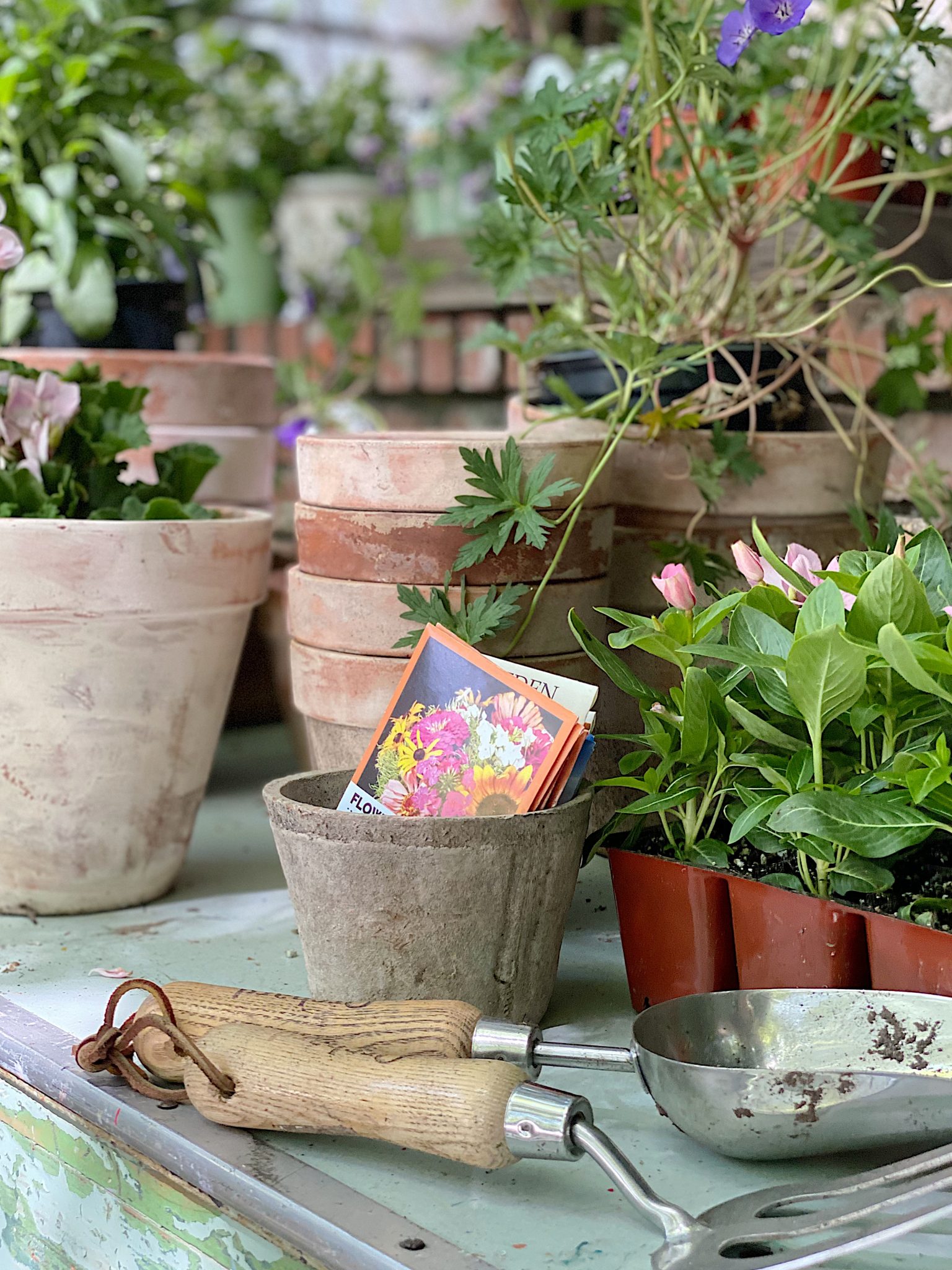 Using the Potting Bench