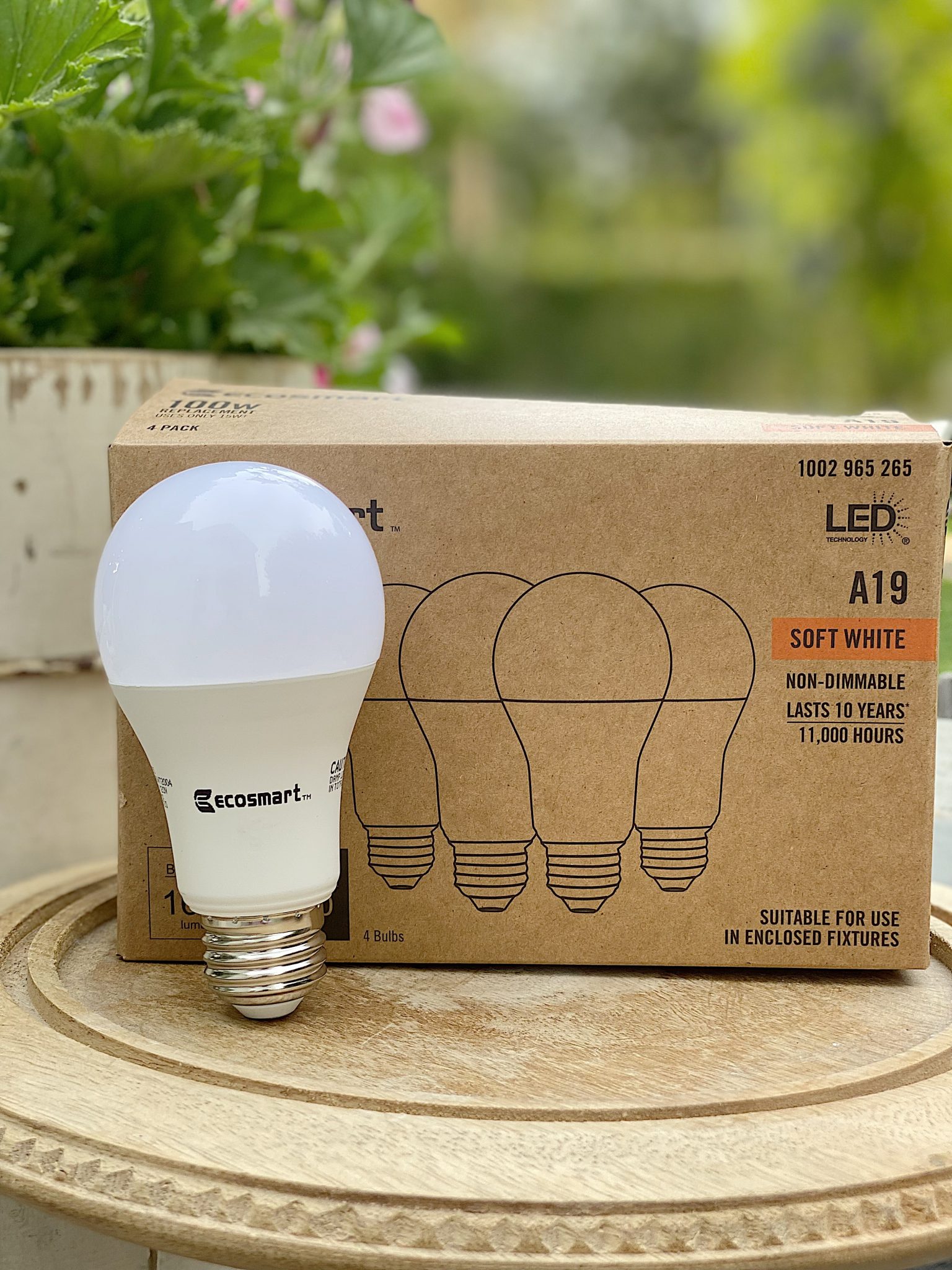 EcoSmart Light Bulb