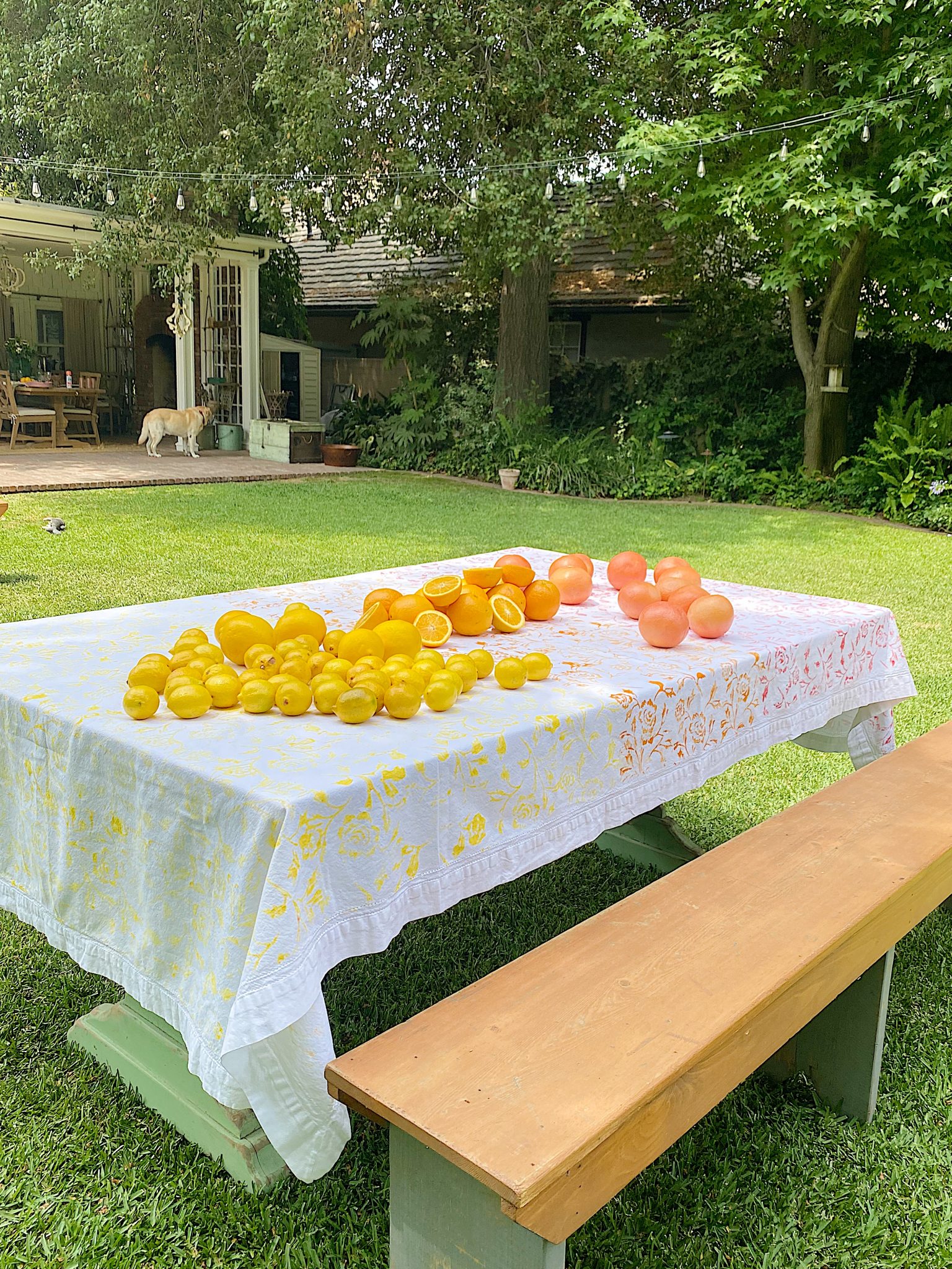 Summer Colors Citrus Tablecloth DIY