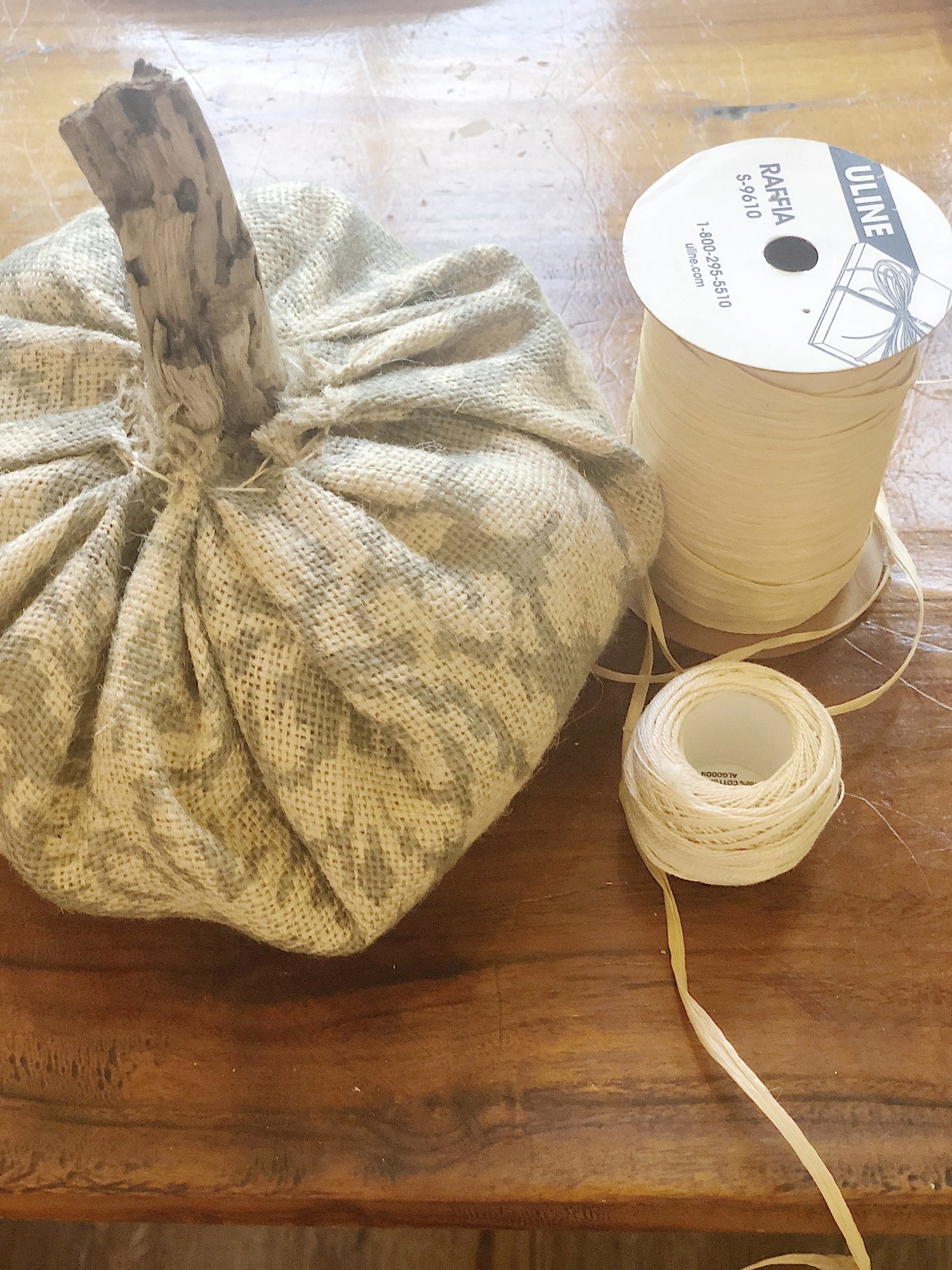 Fall Pumpkins 7