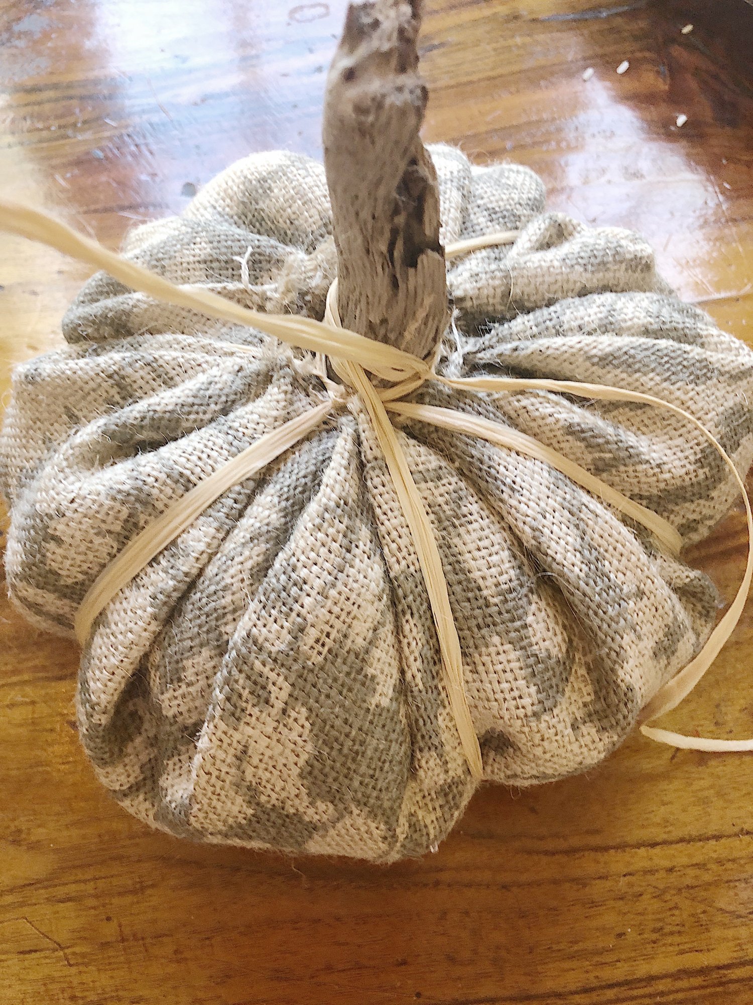 Fall Pumpkins 8