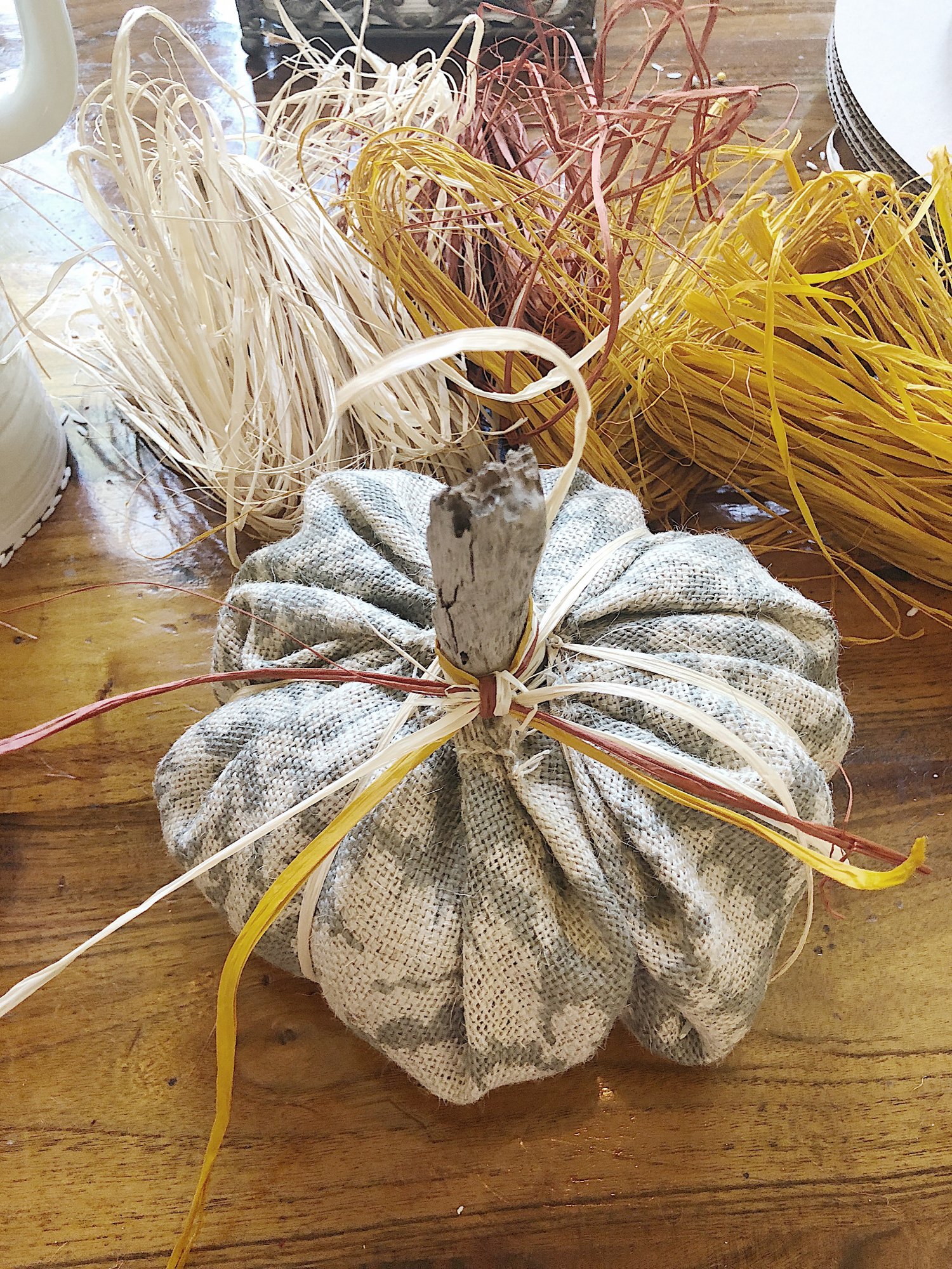 Fall Pumpkins 9