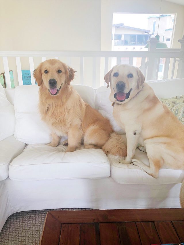 How to clean slipcovers