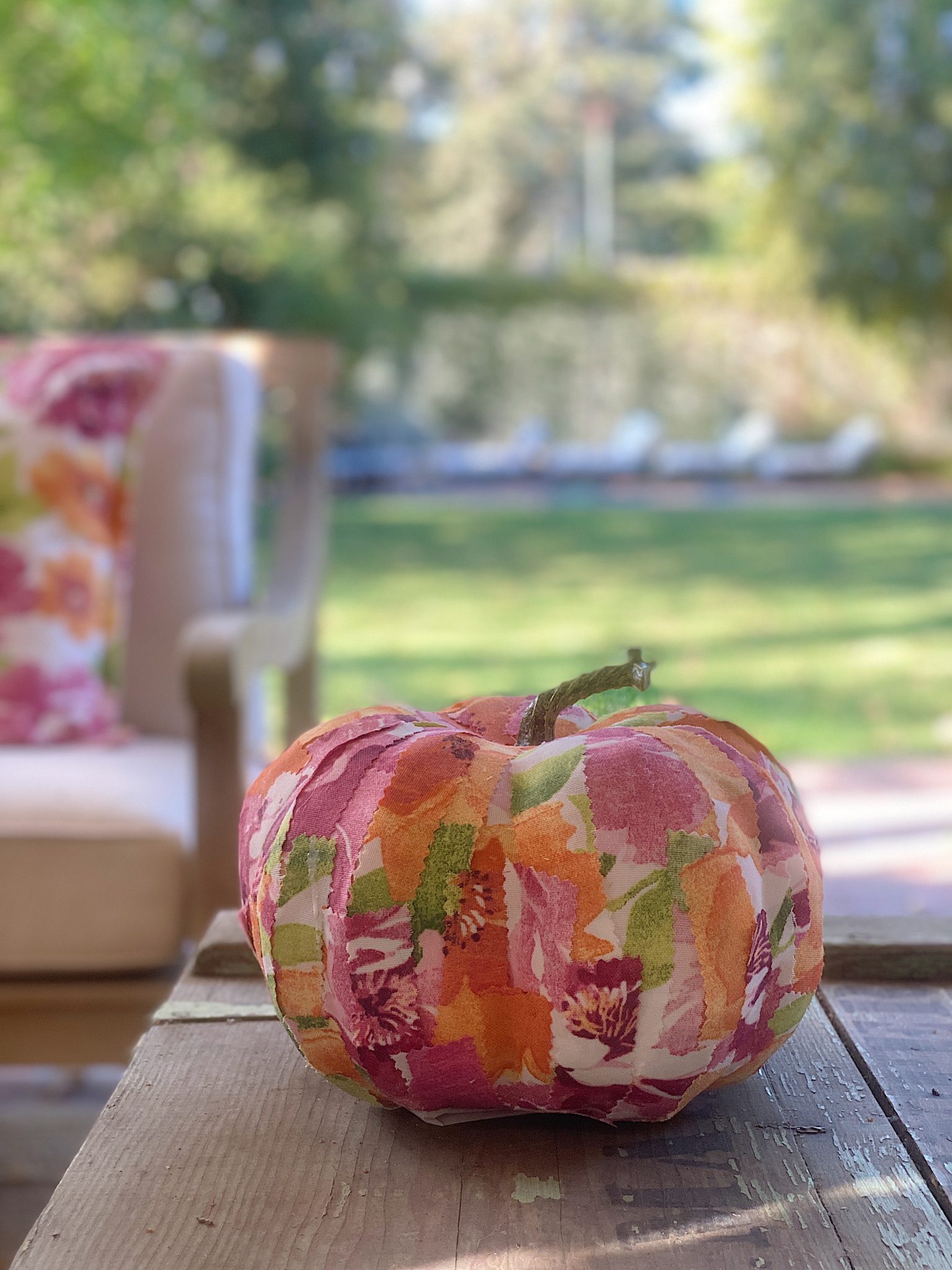 Fall Cinderella Pumpkin