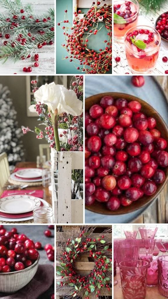 Holiday-2021-Cranberry-Mood-Board