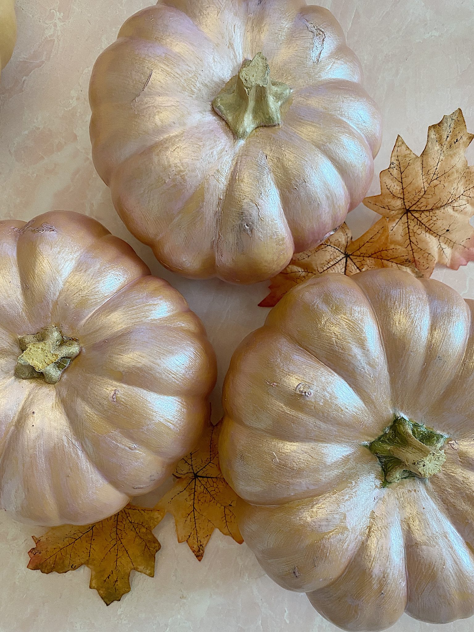 Pink Cinderella Pumpkins