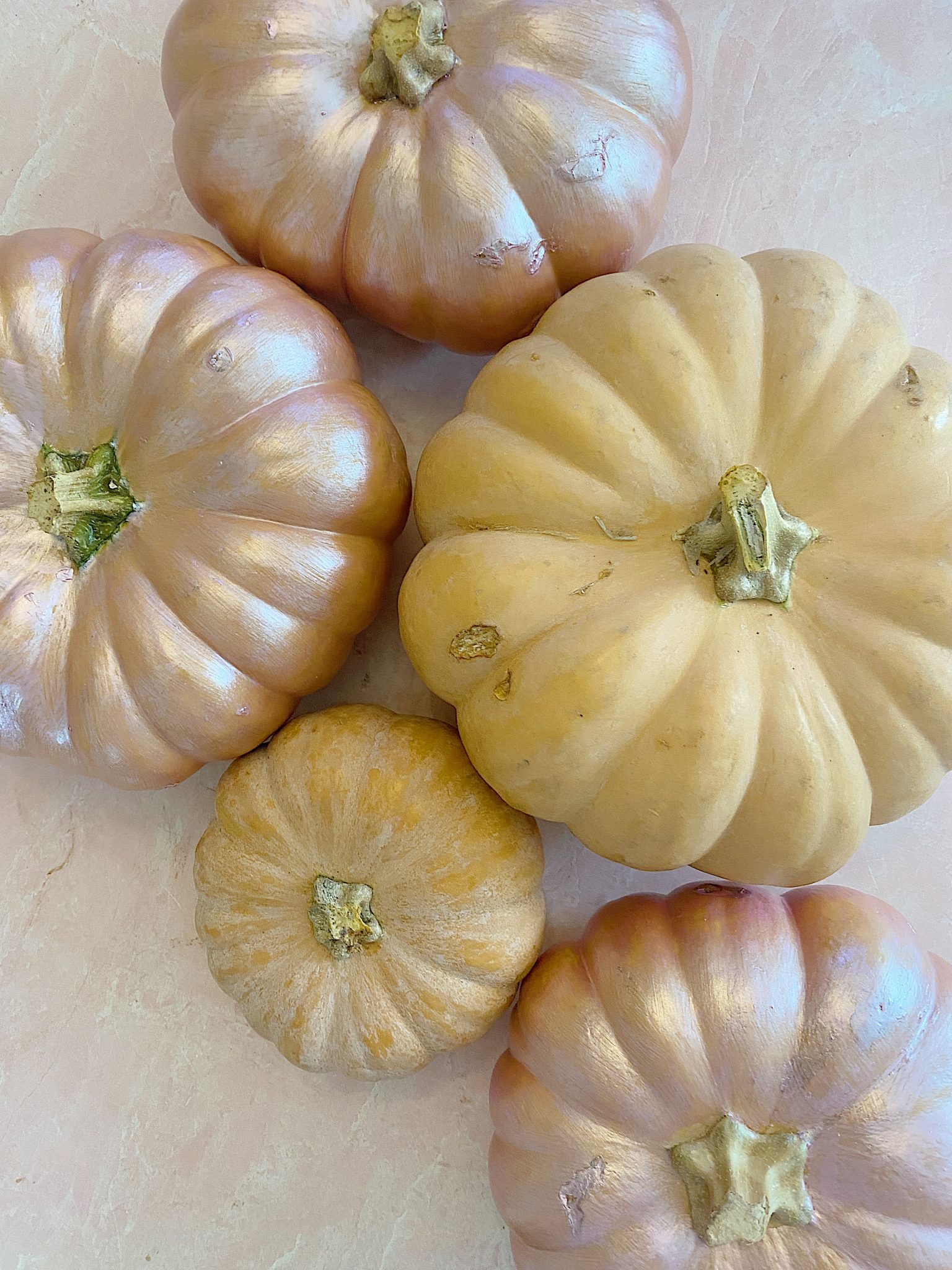 Pink Painted and Non-painted Cinderella Pumpkins