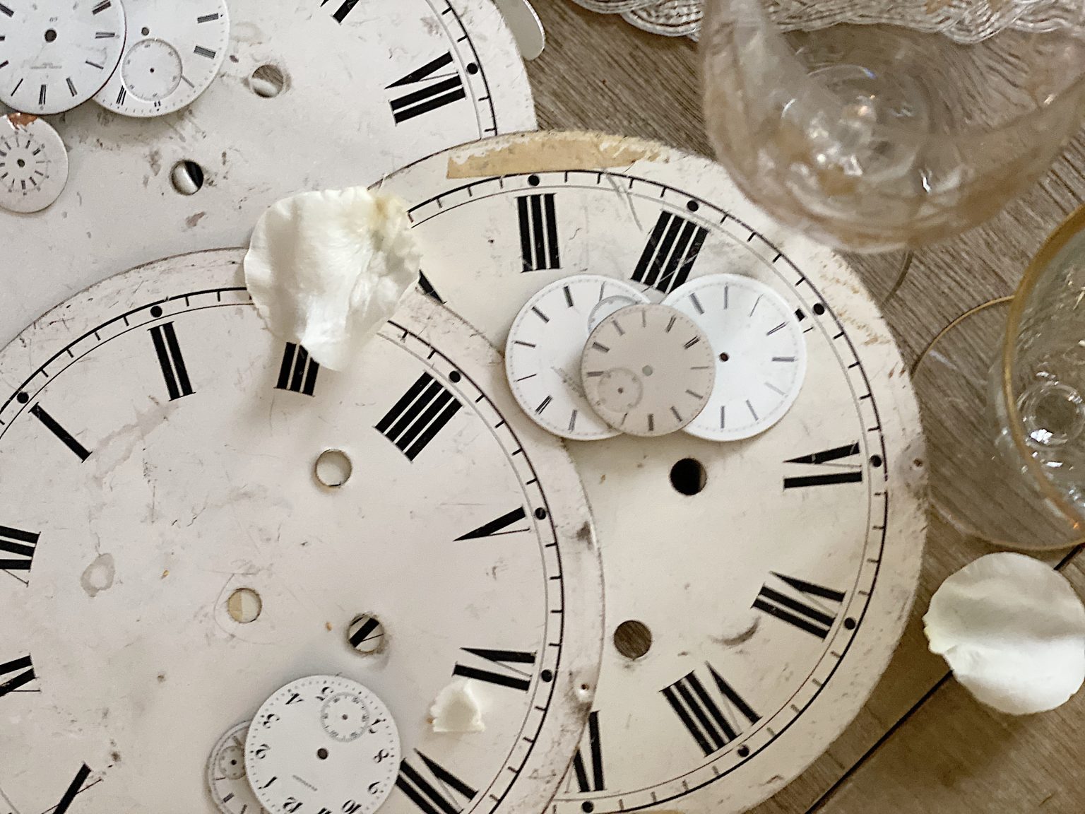 Excited to Ring in the New Year