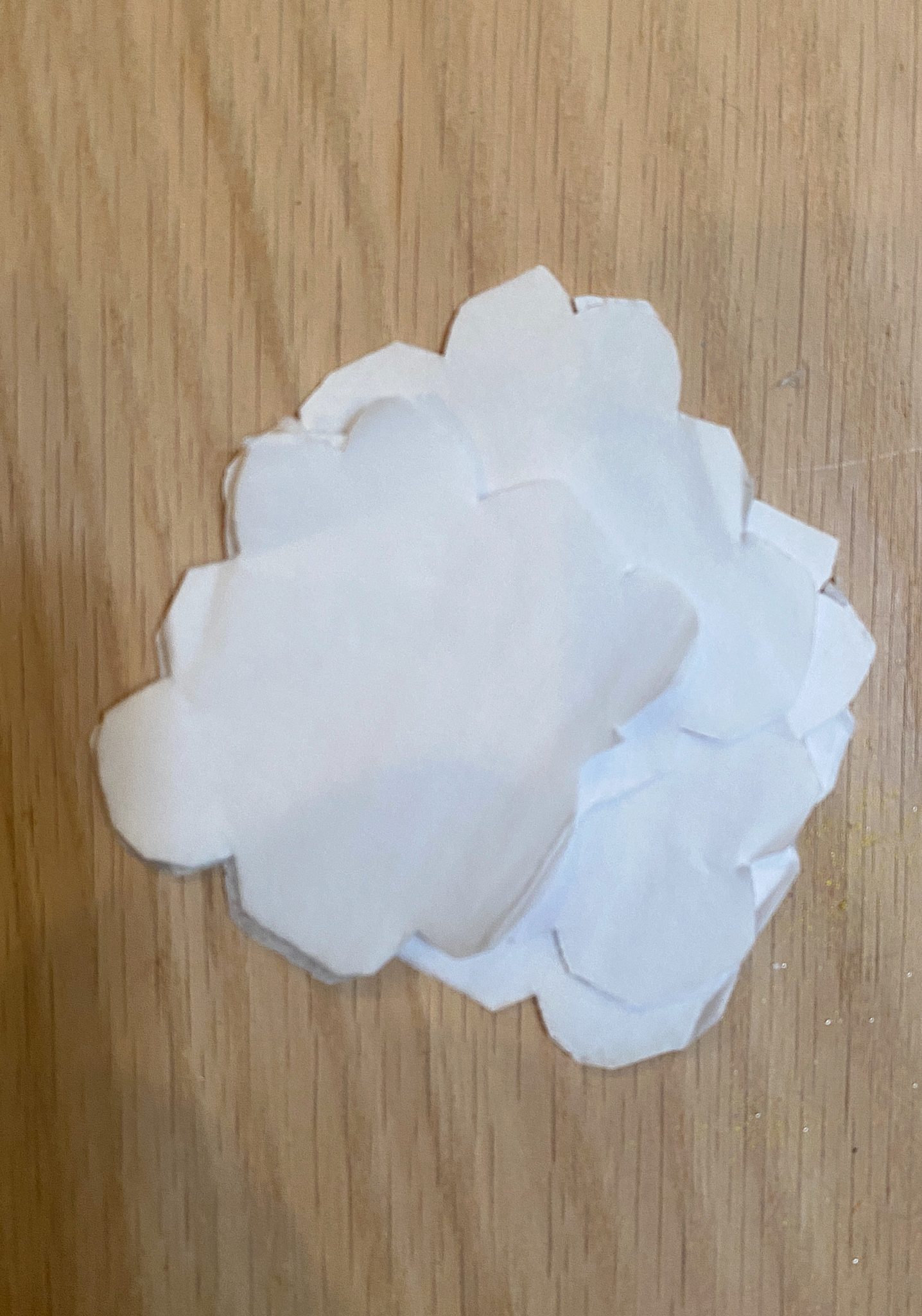 DIY White Cherry Blossoms