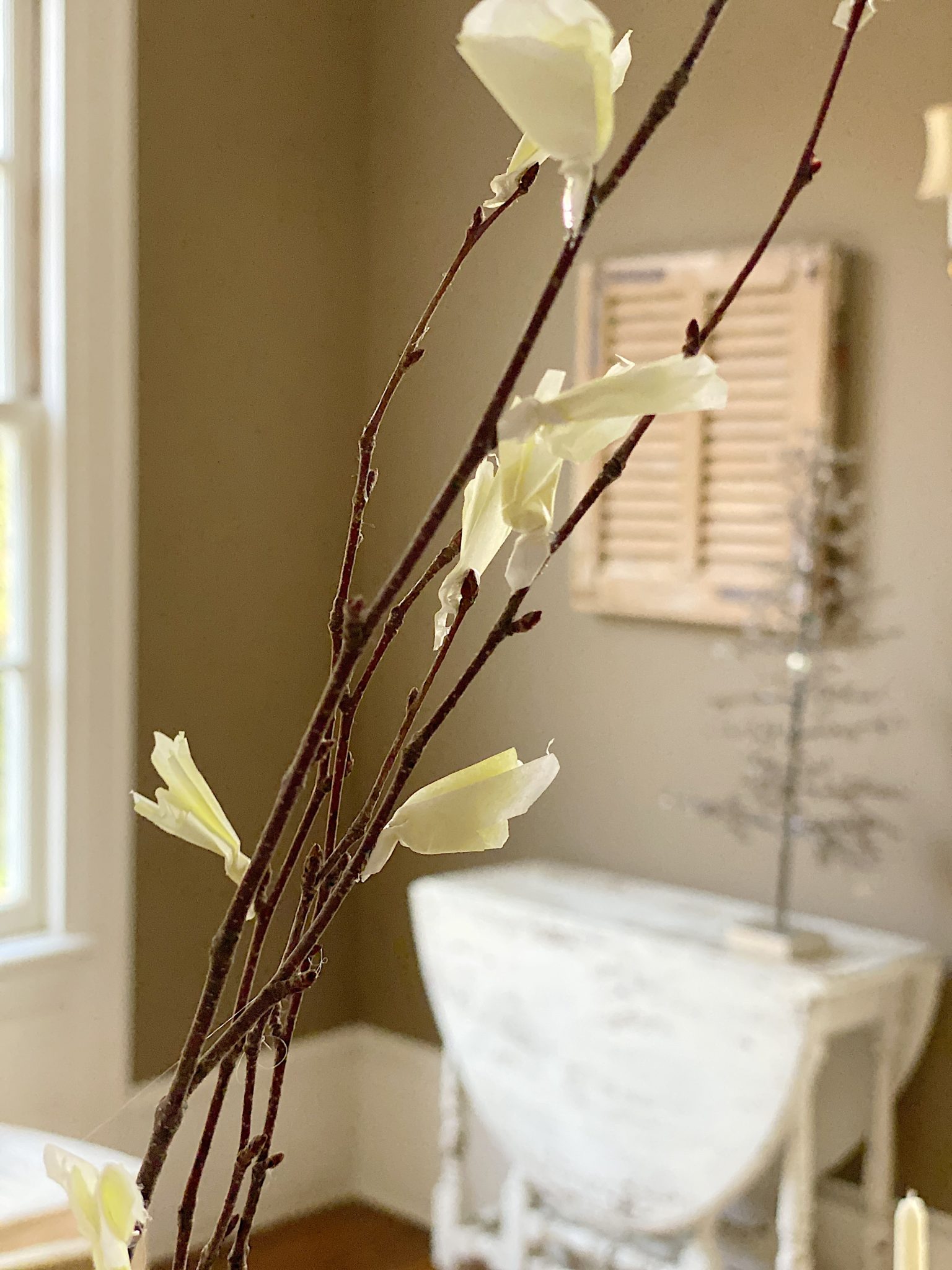White Cherry Blossom Up Close